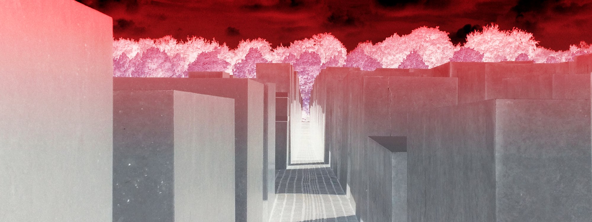 Sito ufficiale del Comune di Cinisello