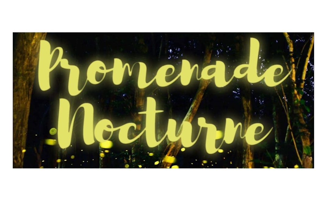 Promenade nocturne nel parco di Villa Ghirlanda 