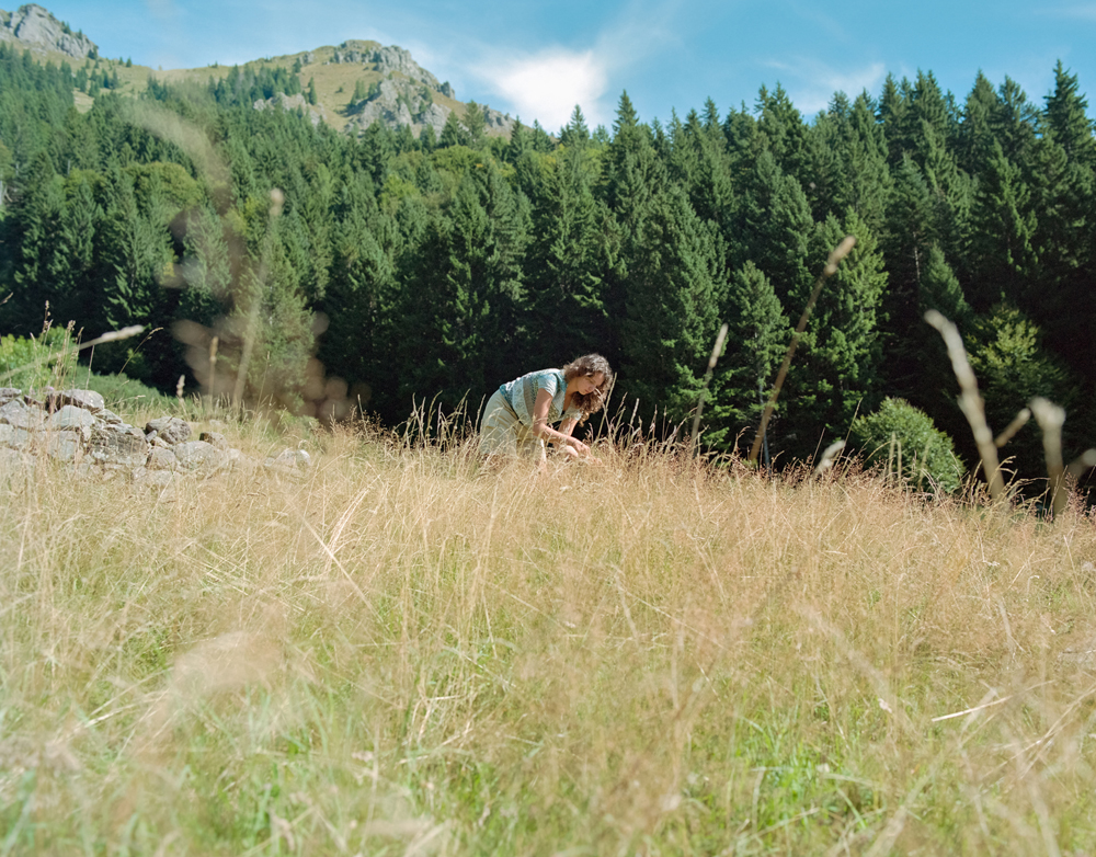 Scenari alpini. Paesaggi e comunità di Lombardia