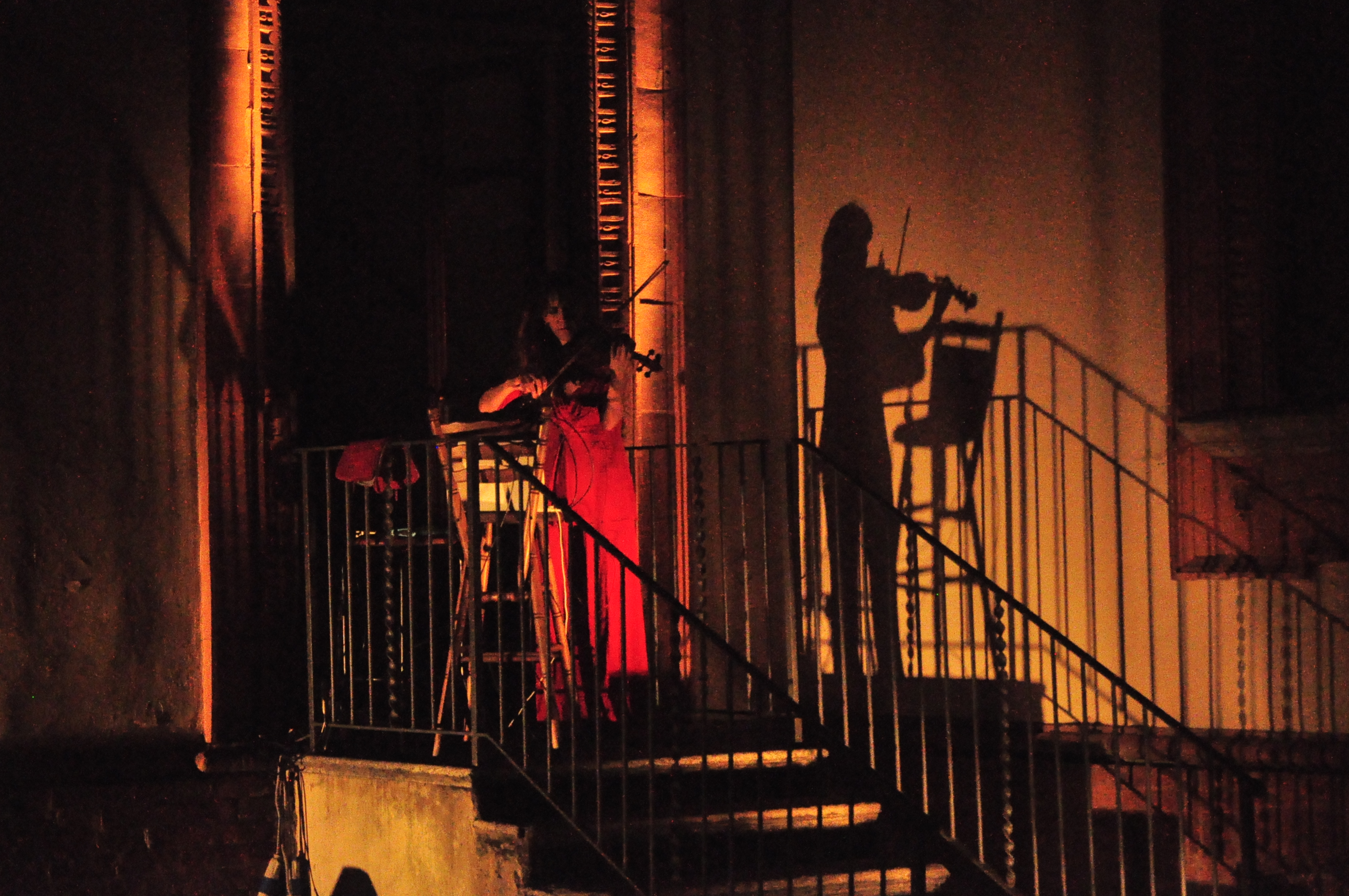 Dalle finestre della Villa: la rondine del violino