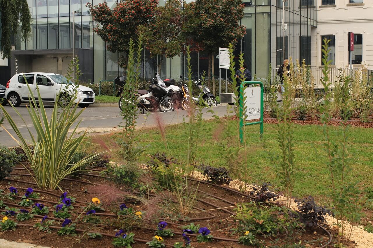 Foto di Renato Ferri