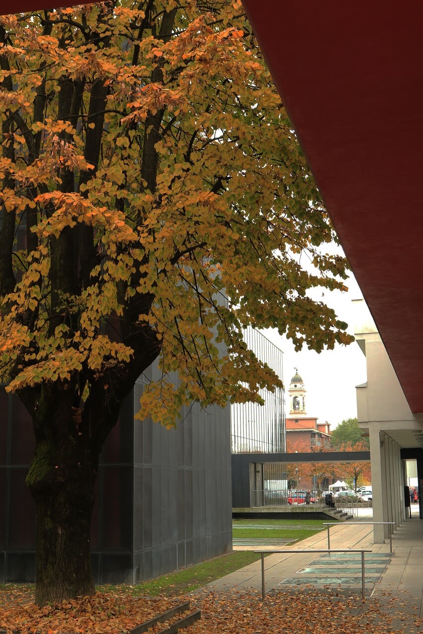 Foto di Renato Ferri