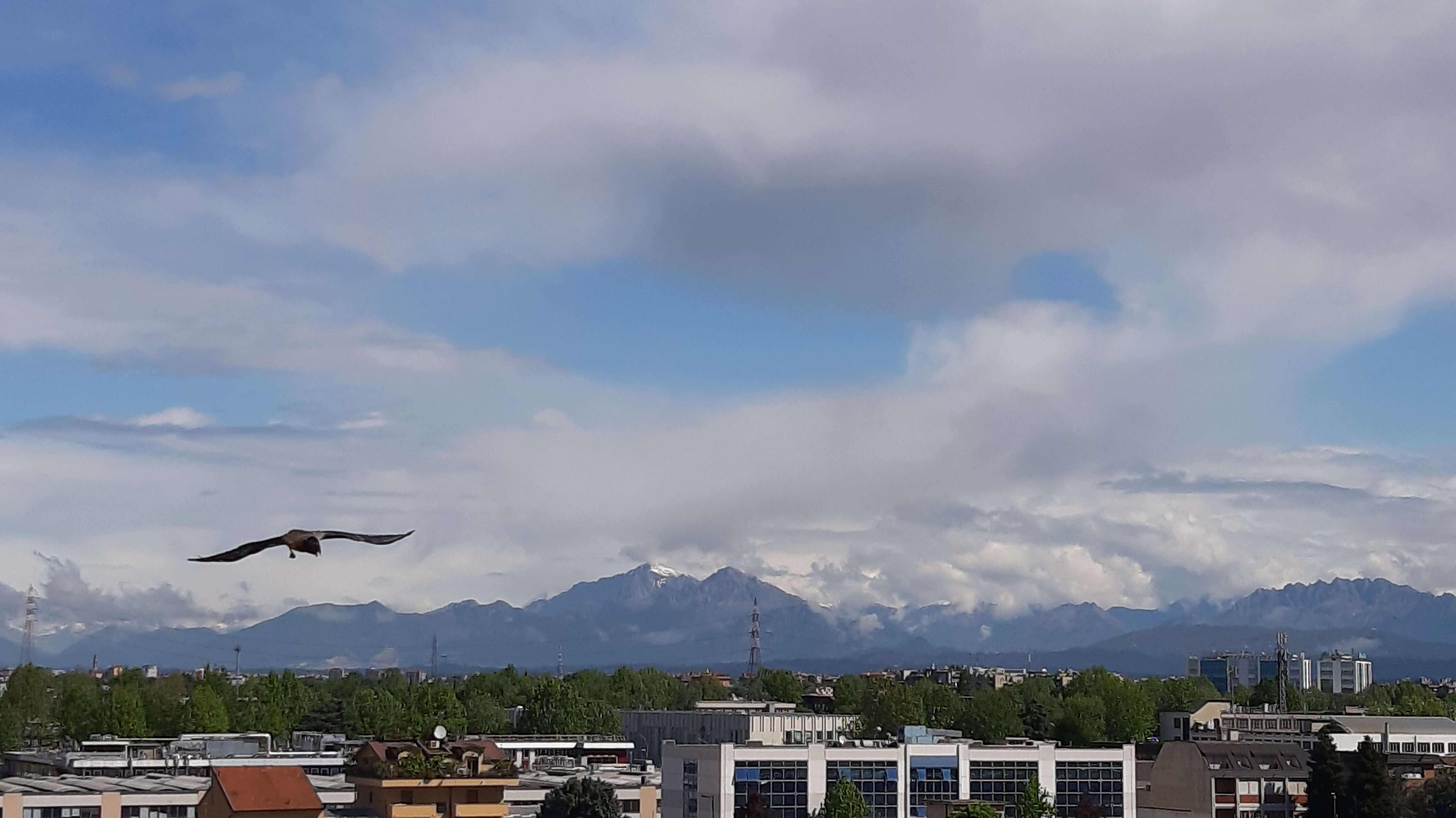 Dopo aver ammirato le Grigne e il Resegone dalla mia finestra ho scattato questa foto e… senza volerlo ho immortalato anche una cornacchia! Foto di Elena Rovati