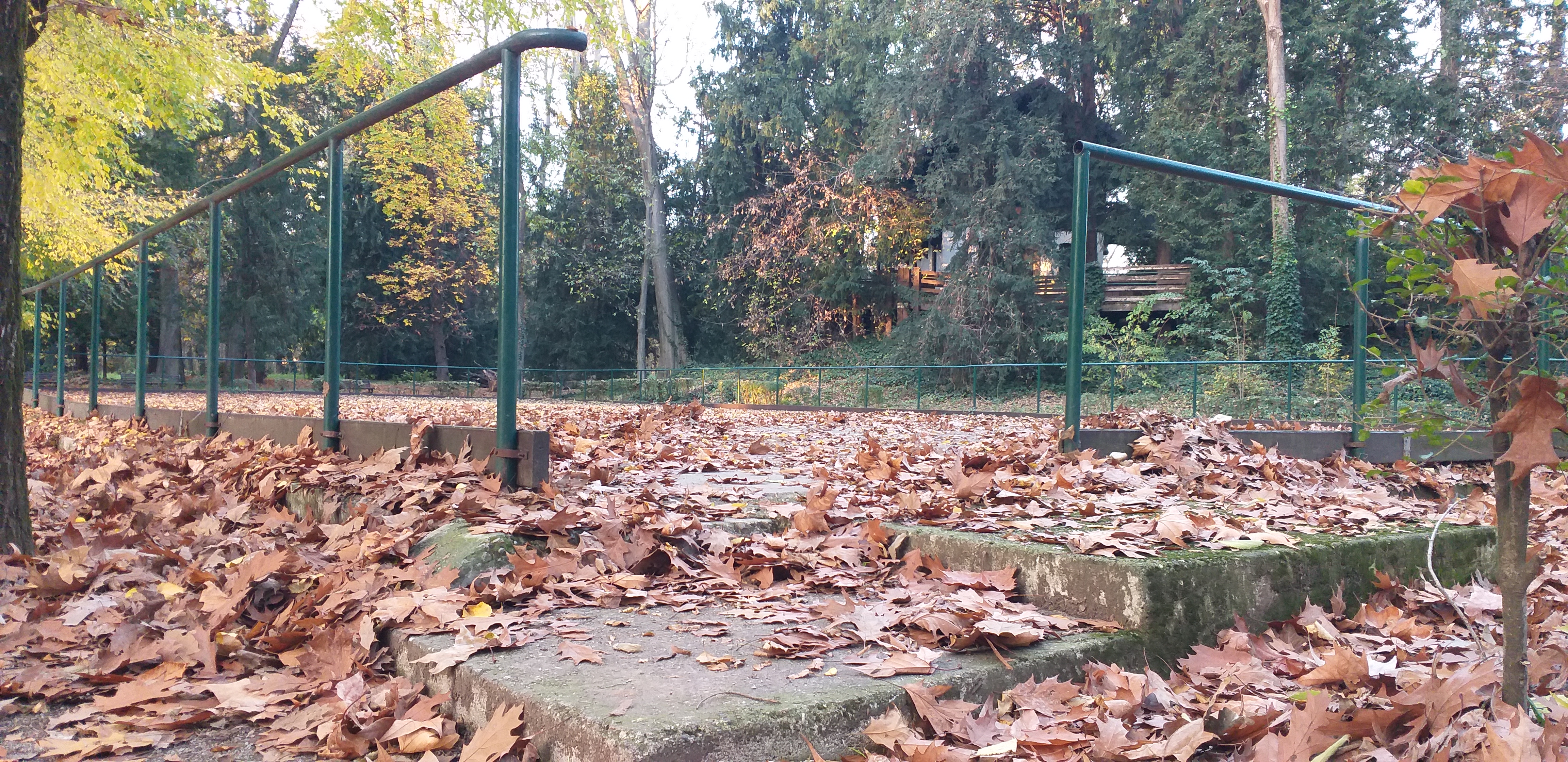 Rumore di pattini nella memoria. Foto di Francesca Alberti