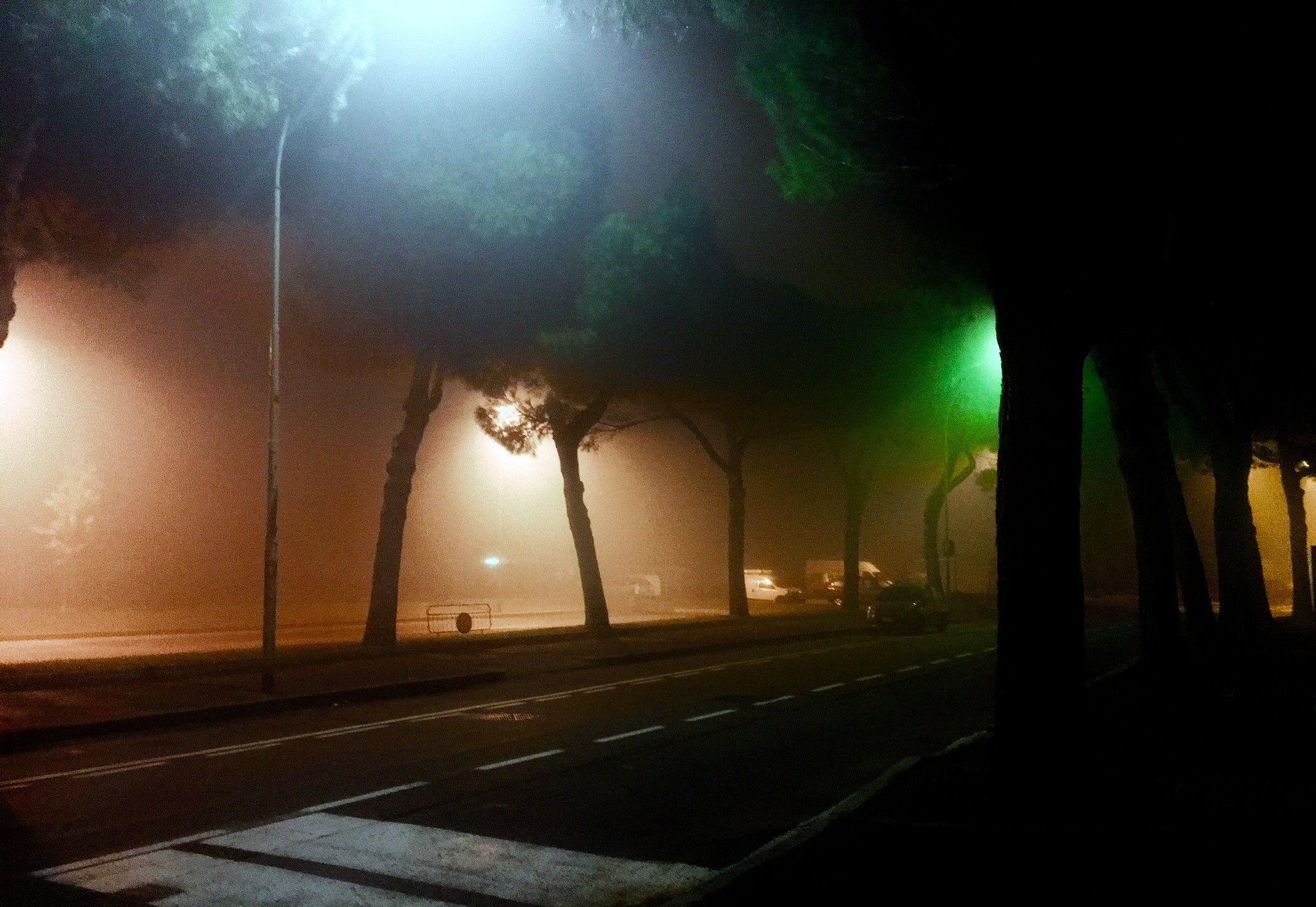 Luci che nuotano nella nebbia. Foto di Aravinth Sundareswaran