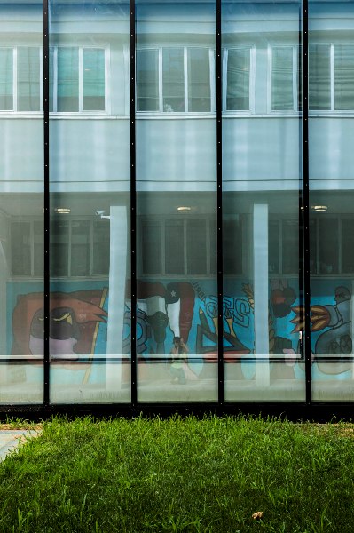 Riflesso sulle vetrate del Pertini