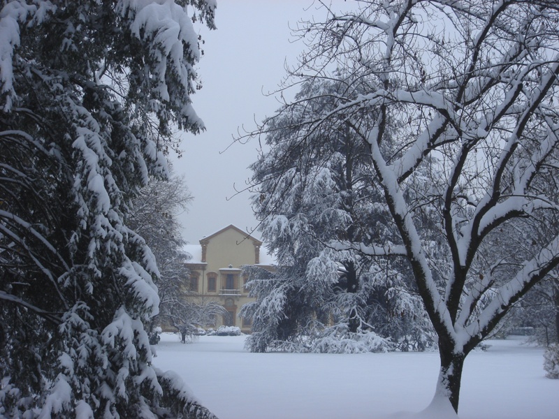 Parco di Parco di villa Silva Ghirlanda Cippelletti