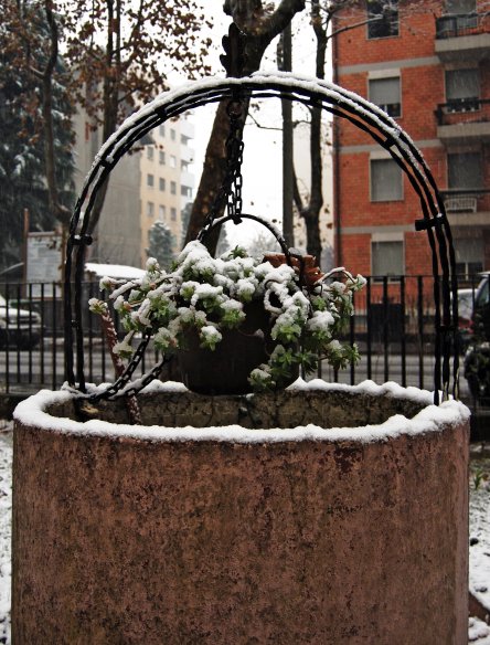 Palazzina di Via Carroccio 15