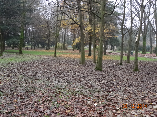 Foto di  Eltouny Mohamed