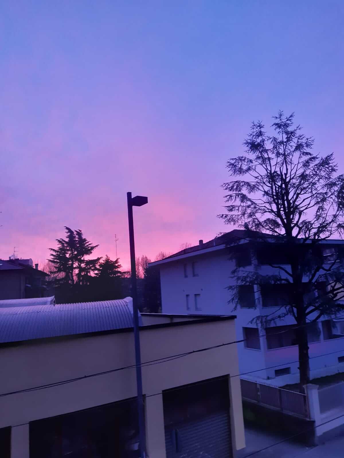 Alba. Foto di Anna Colangelo