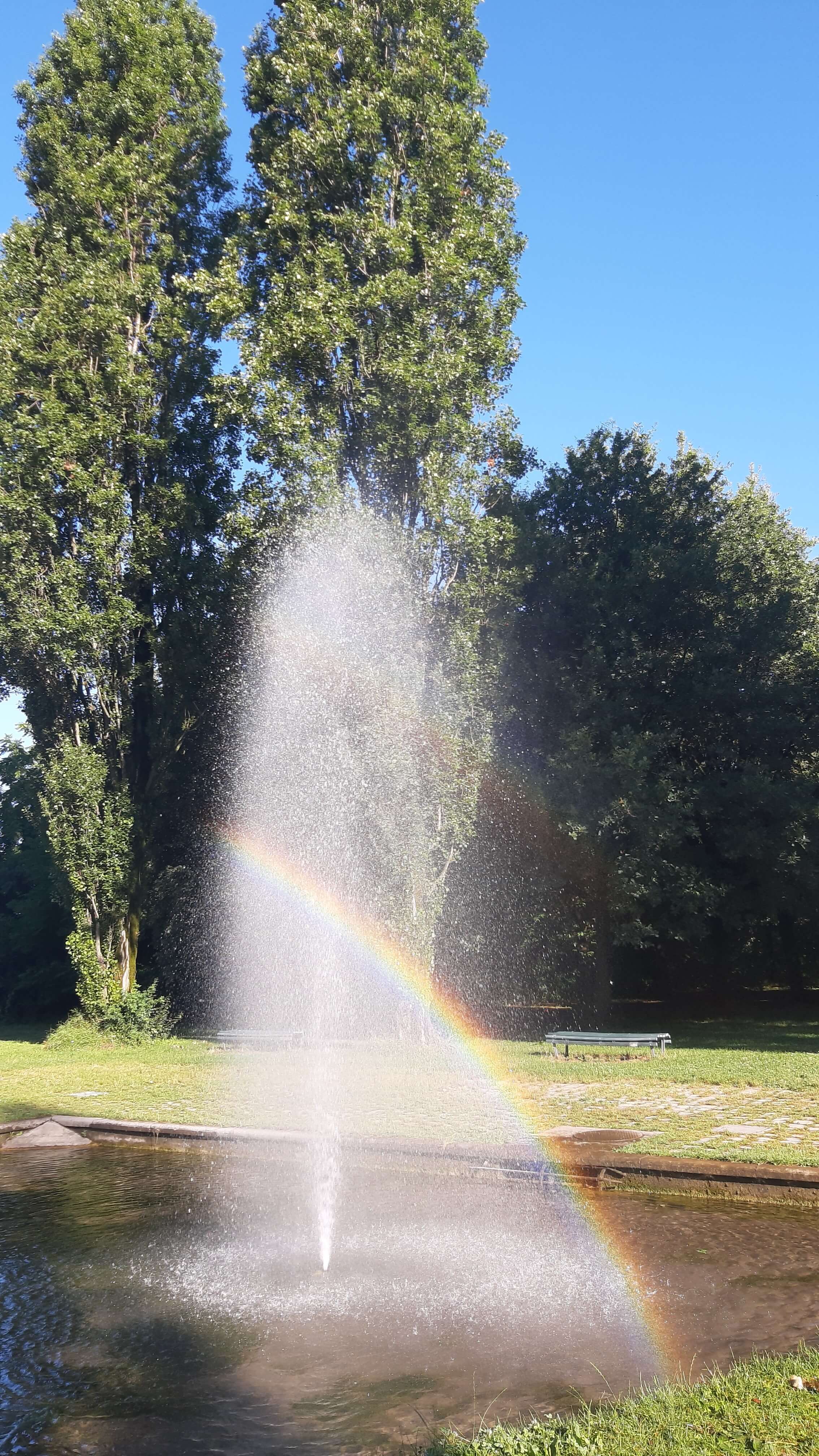 Passeggiare nel meraviglioso Parco Nord e farsi sorprendere dalla magia dell’acqua e del sole. Foto di Silvia Vallati