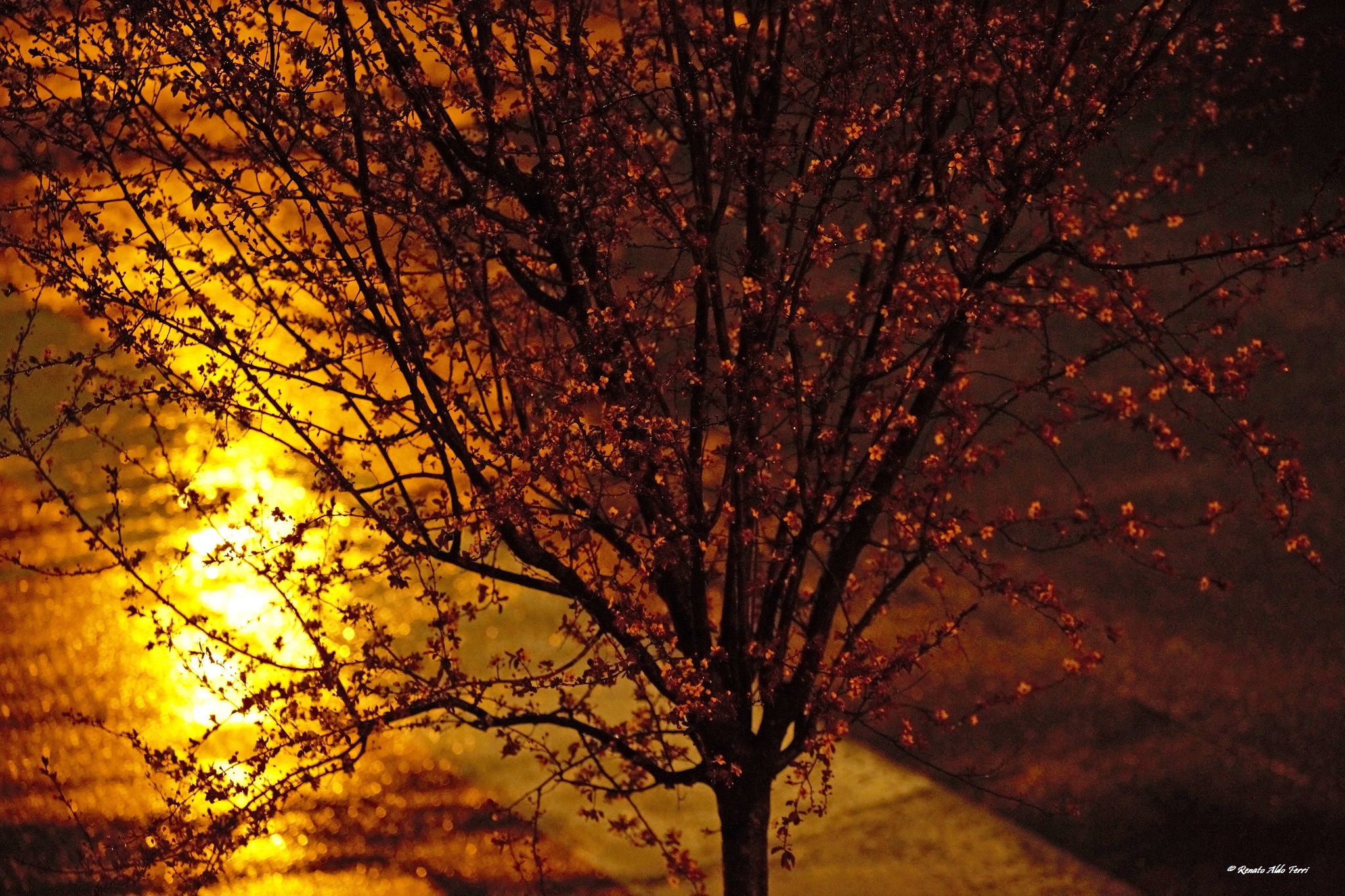 Ascolta è tardi… Foto di Renato Ferri