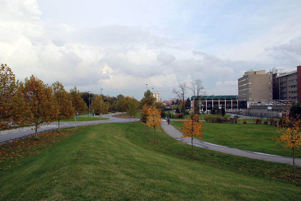 Attivita e degenza - Foto di Renato  Ferri