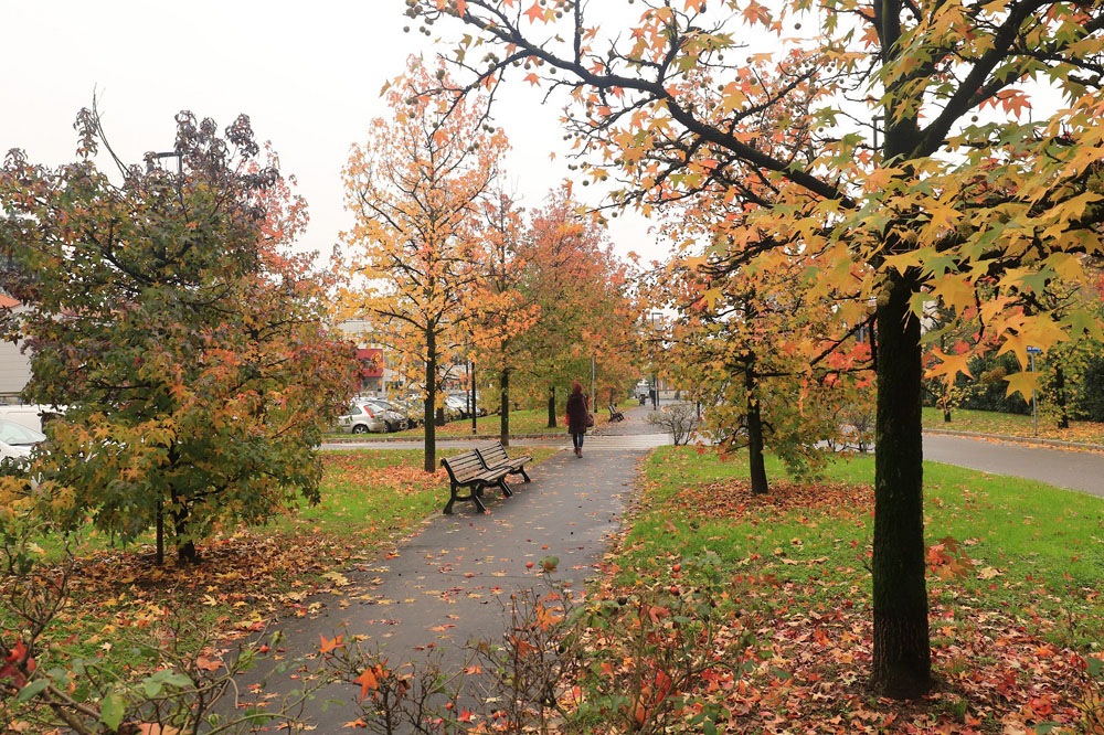 Autunno - Foto di Renato Ferri