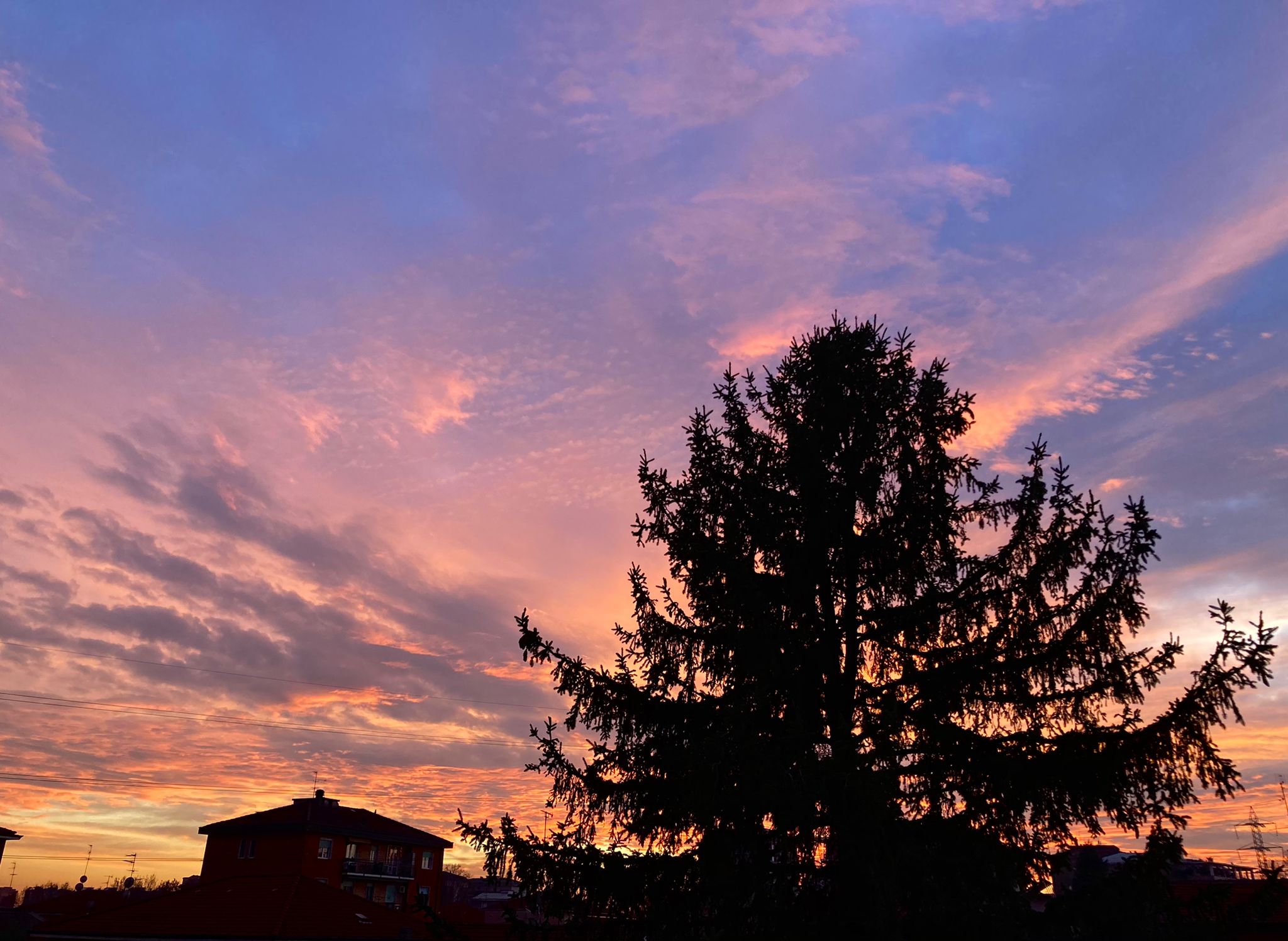 Il cielo si tinge di rosa. Foto di Marta Barzasi
