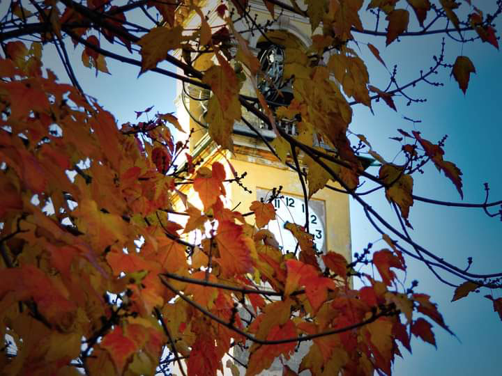 Il campanile di Balsamo in uno scorcio autunnale - Foto di Graziano Libera