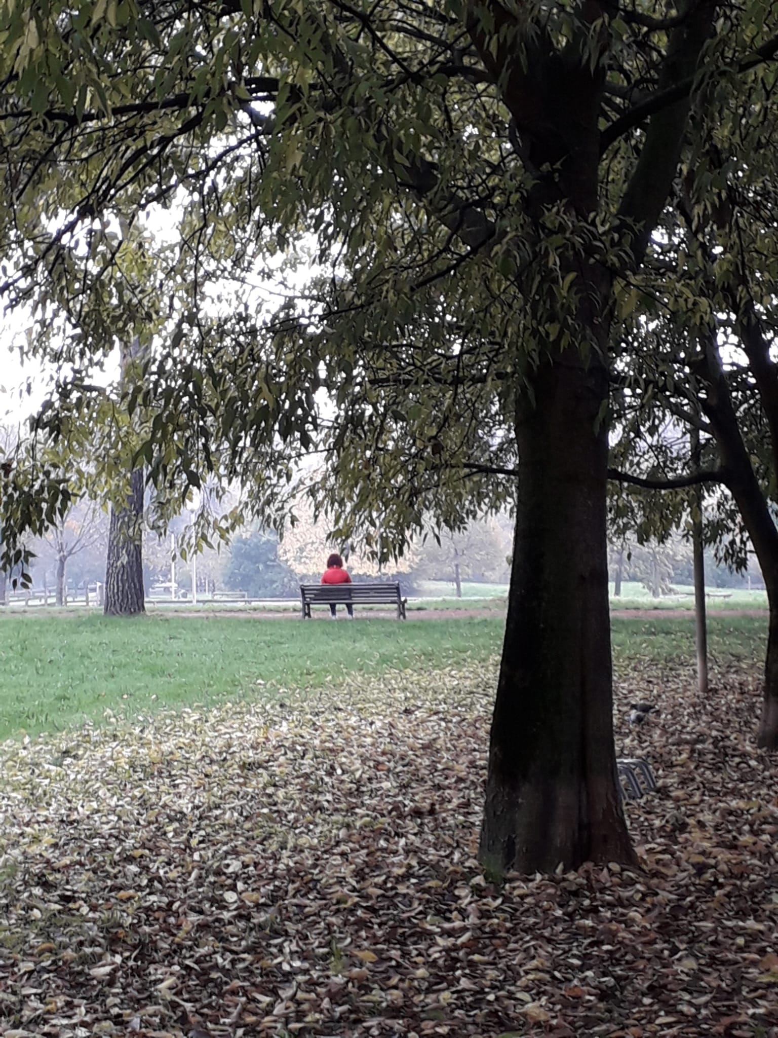 Colori autunnali. Foto di Carolina Brambilla