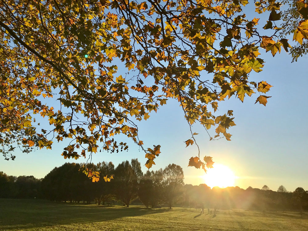 Colori d’autunno - Foto di Annalisa Bonafede
