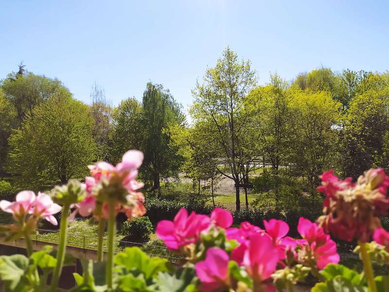 Colori di primavera. La Natura si risveglia e ci riempie di colore gli occhi. Foto di Rosy Tramontano