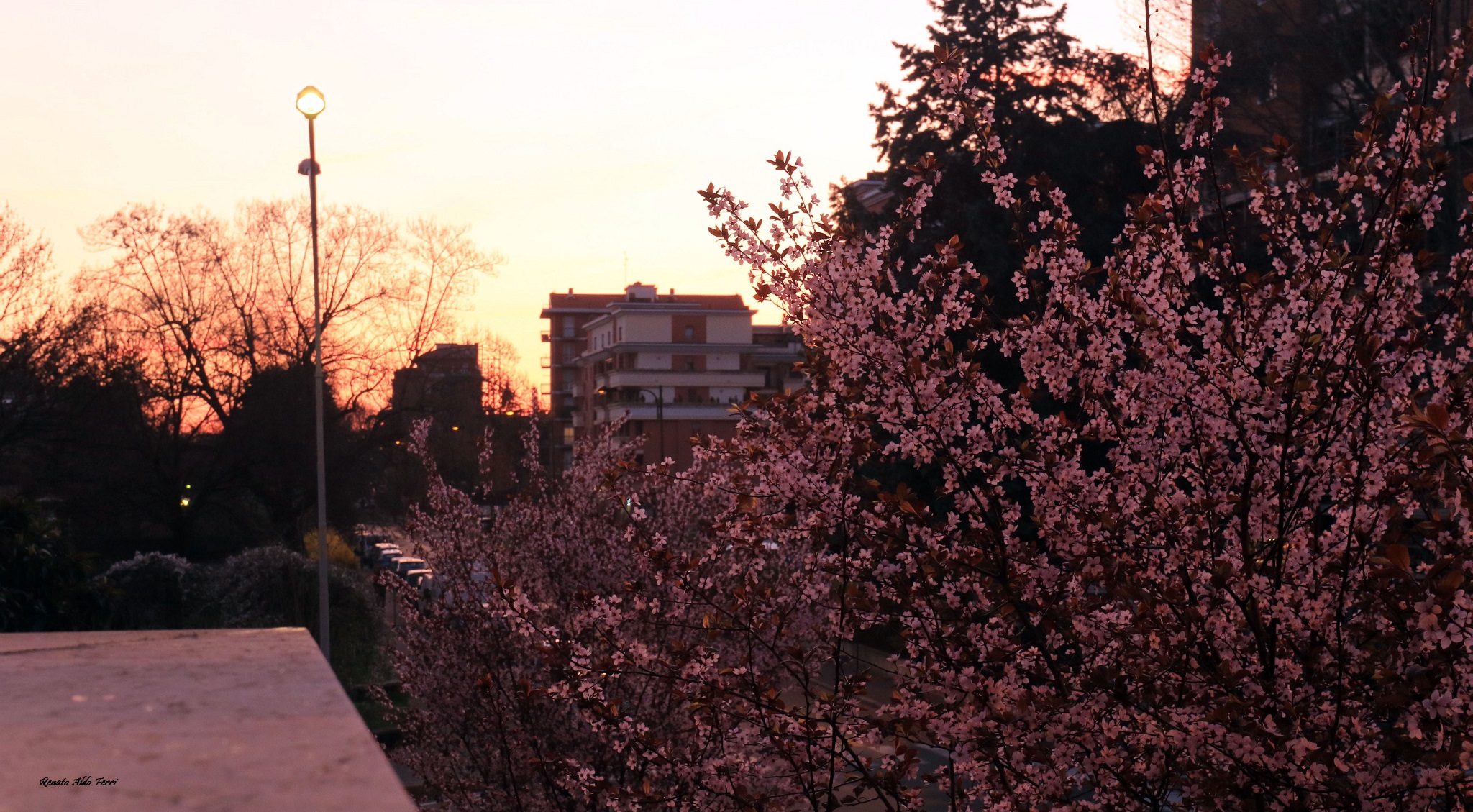 Cosa ho fatto oggi… Foto di Renato Ferri