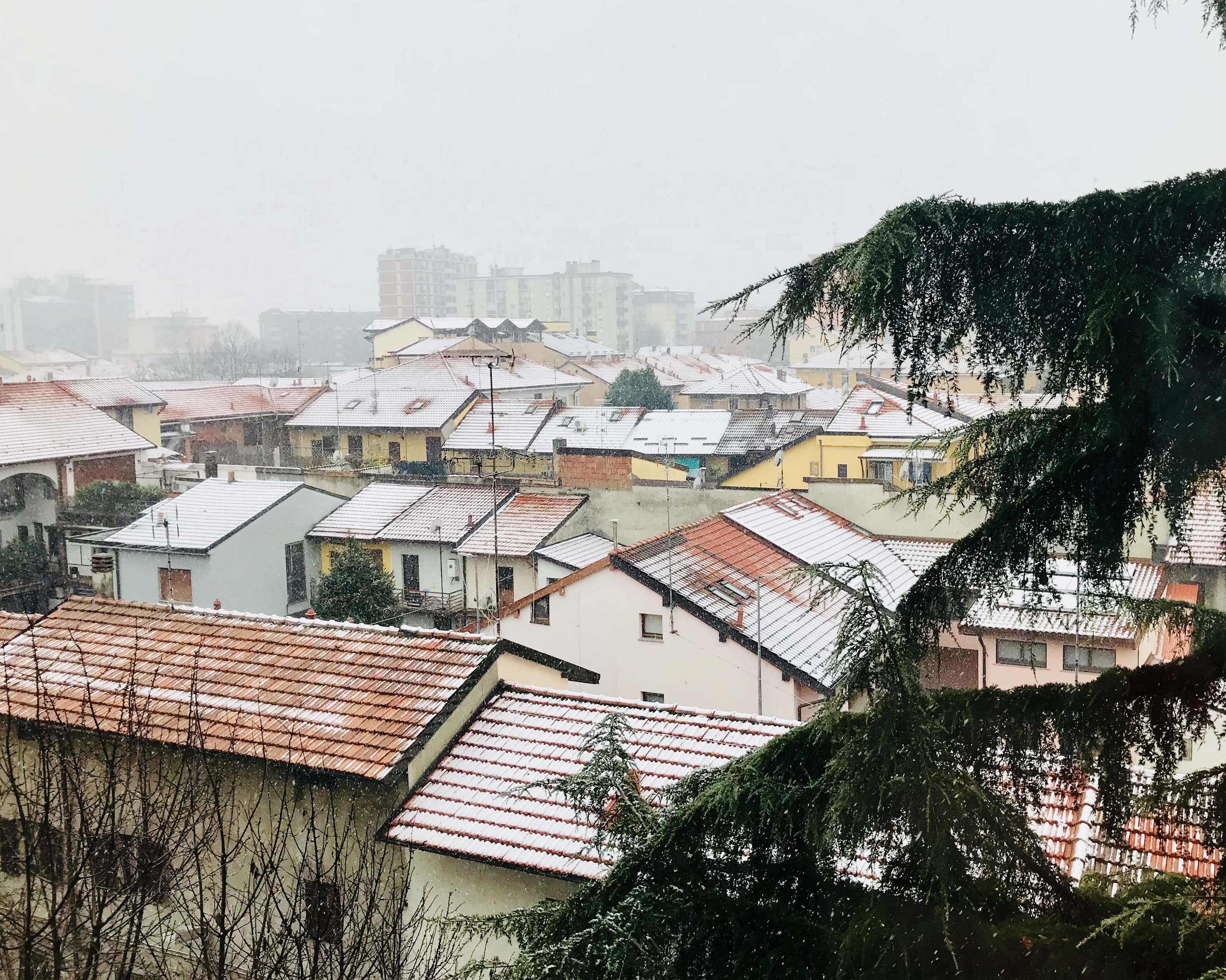 Foto di Annalisa Bonafede