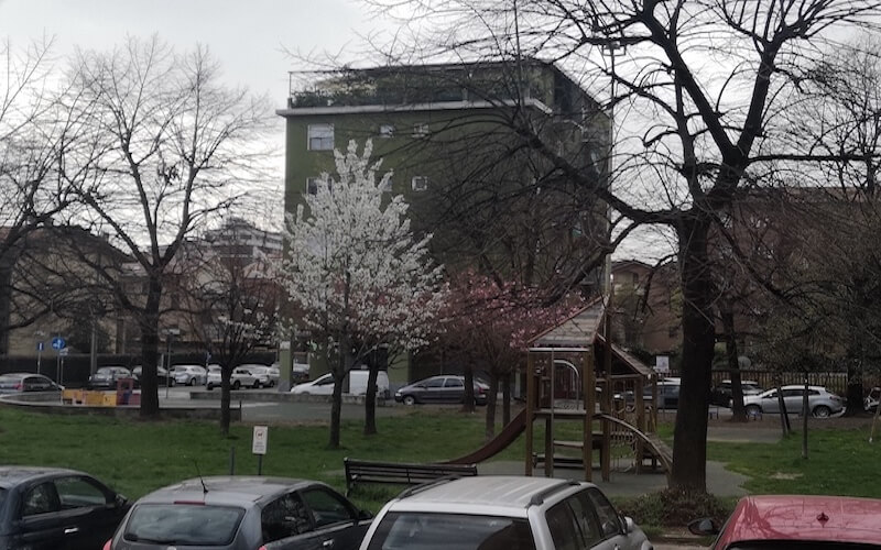 Domenica mattina. Nella quiete la primavera avanza dalla finestra di casa. Foto di Marco Bellelli