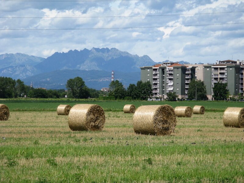 Fieno in città. Sullo sfondo il monte Resegone. Foto di Bruno Ippolito