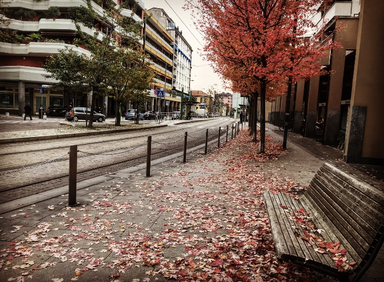 Foto di Annalisa Bonafede