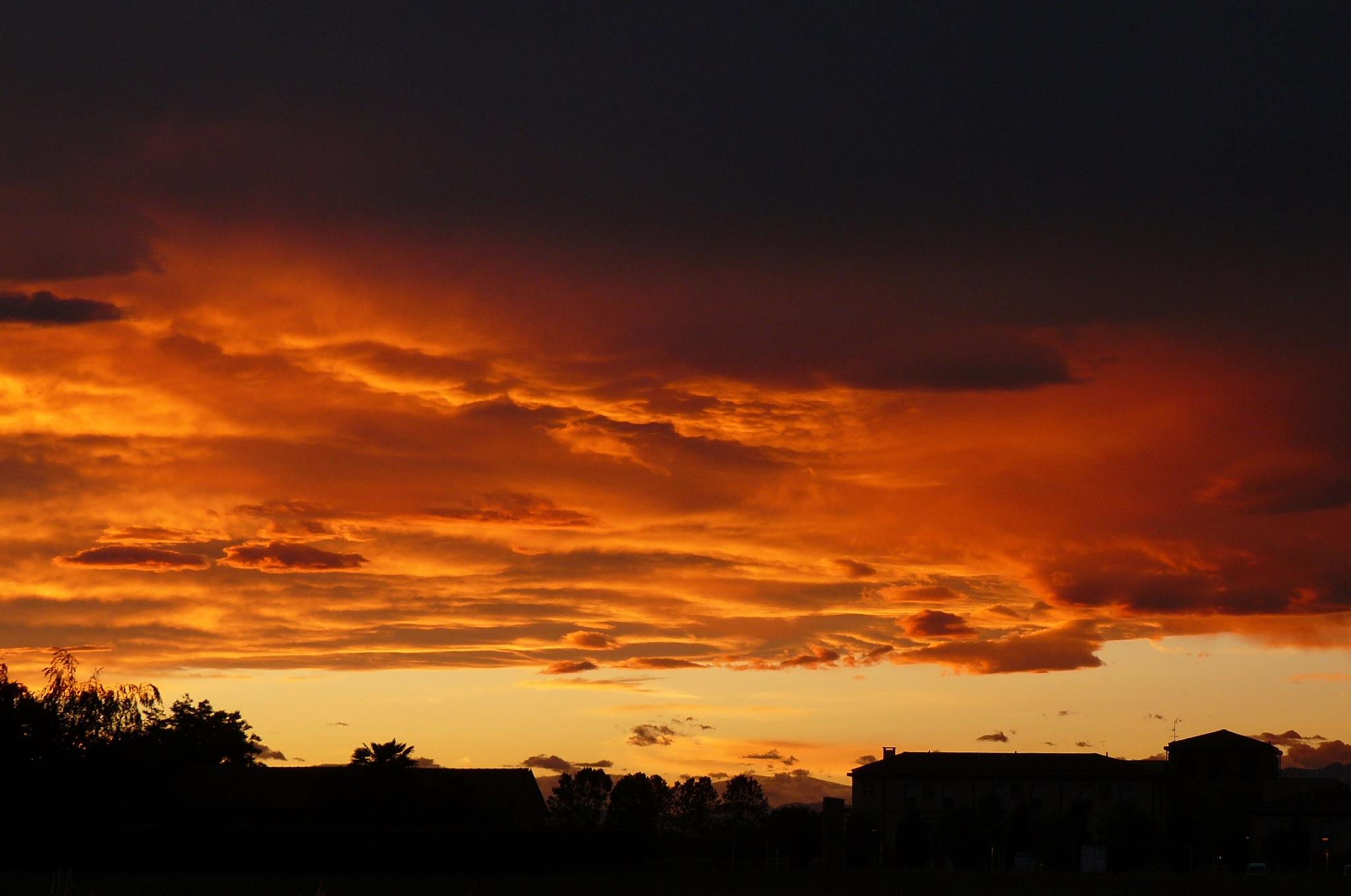 Tutti conoscono i colori del tramonto, ma pochi ne conoscono il canto. Foto di Renato Ferri