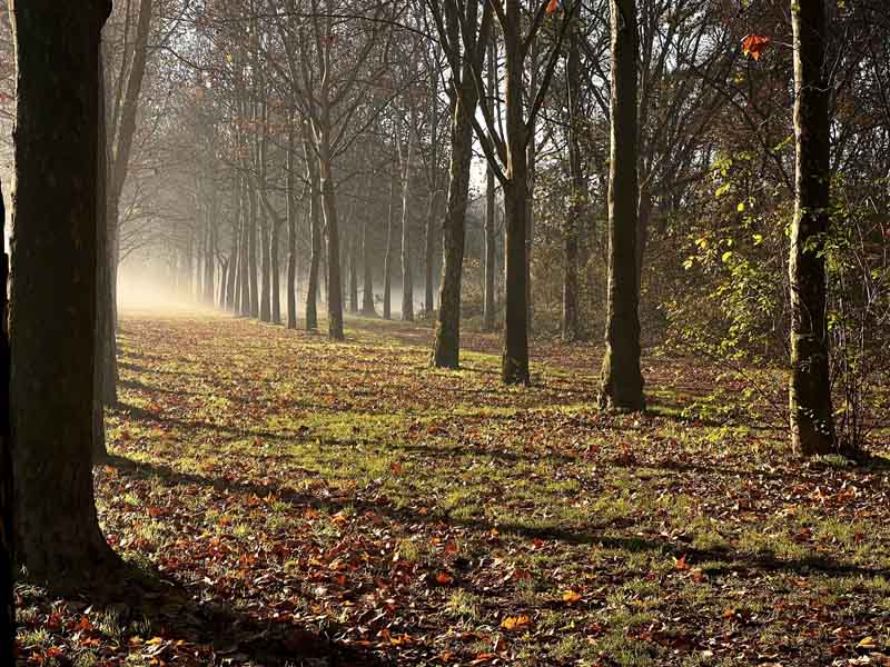 I love the morning ride - Foto di Enrico Frumento