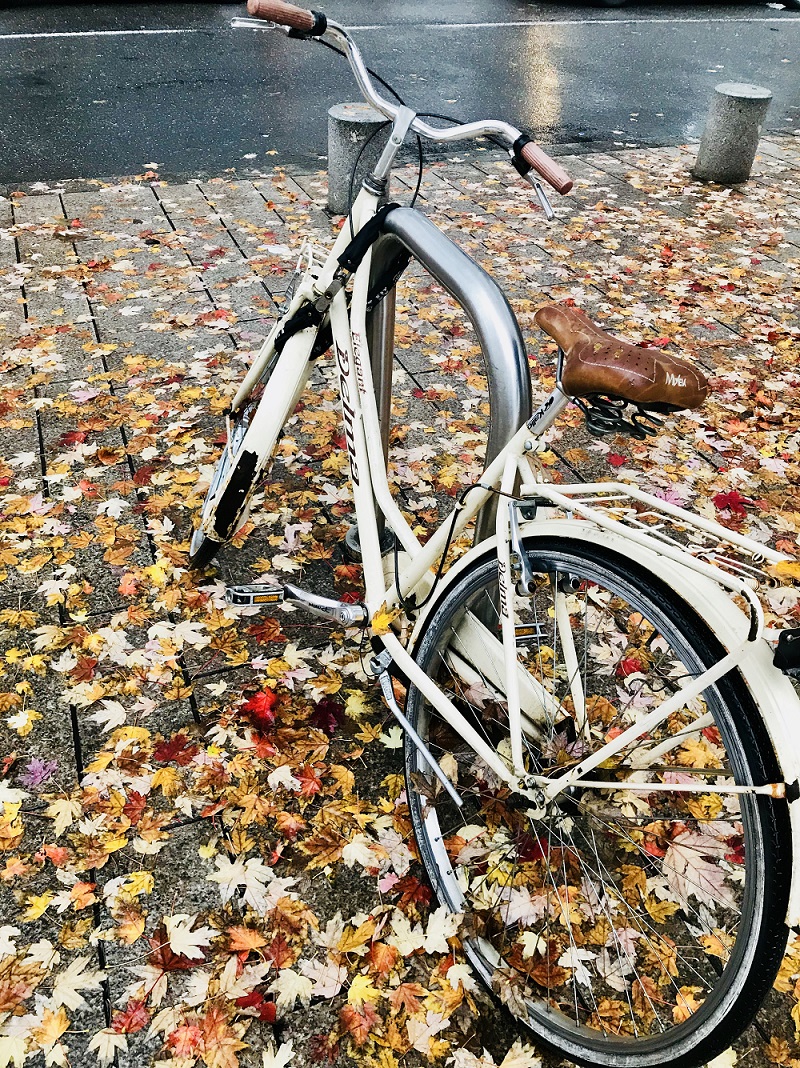 Cadono le foglie si accendono i colori: Autunno. Foto di Annalisa Bonafede