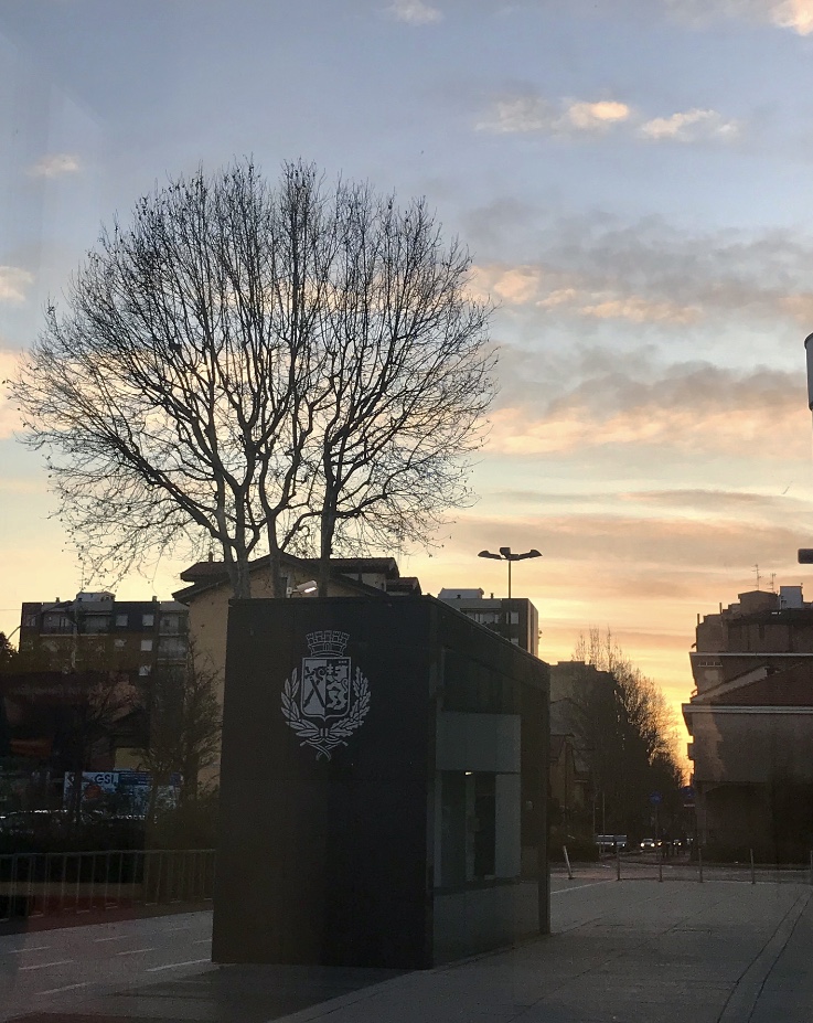 Foto di Annalisa Bonafede