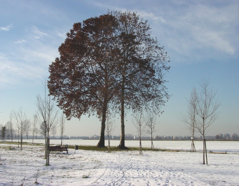 Parco del Grugnotorto