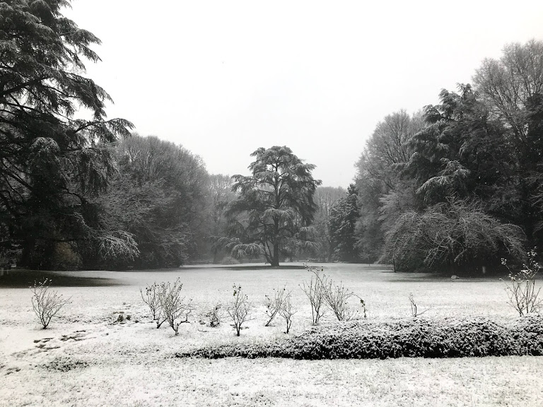 Parco di villa Ghirlanda Silva- inverno-