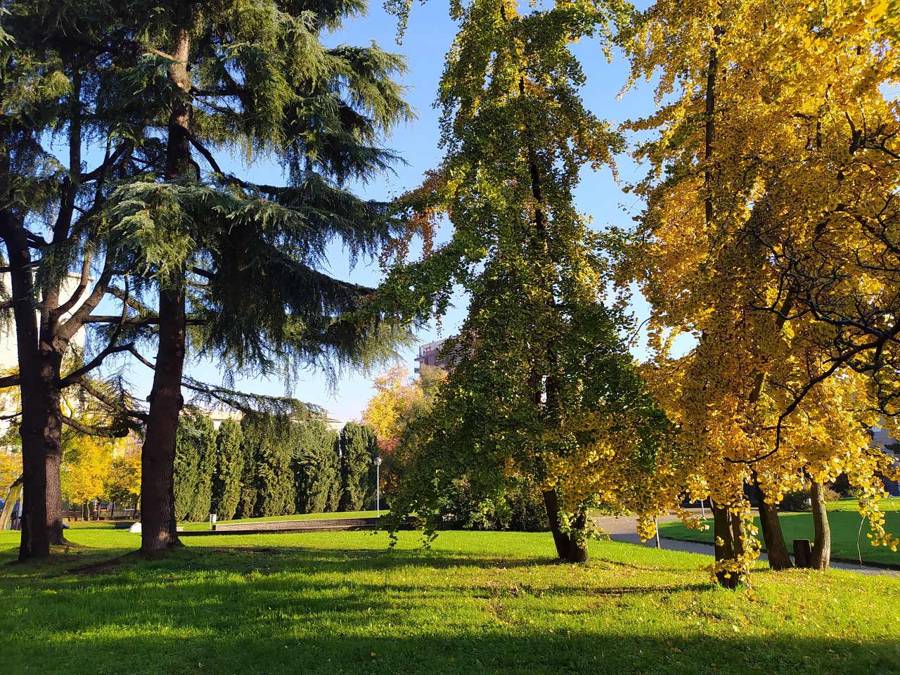 Foto di Renato Ferri