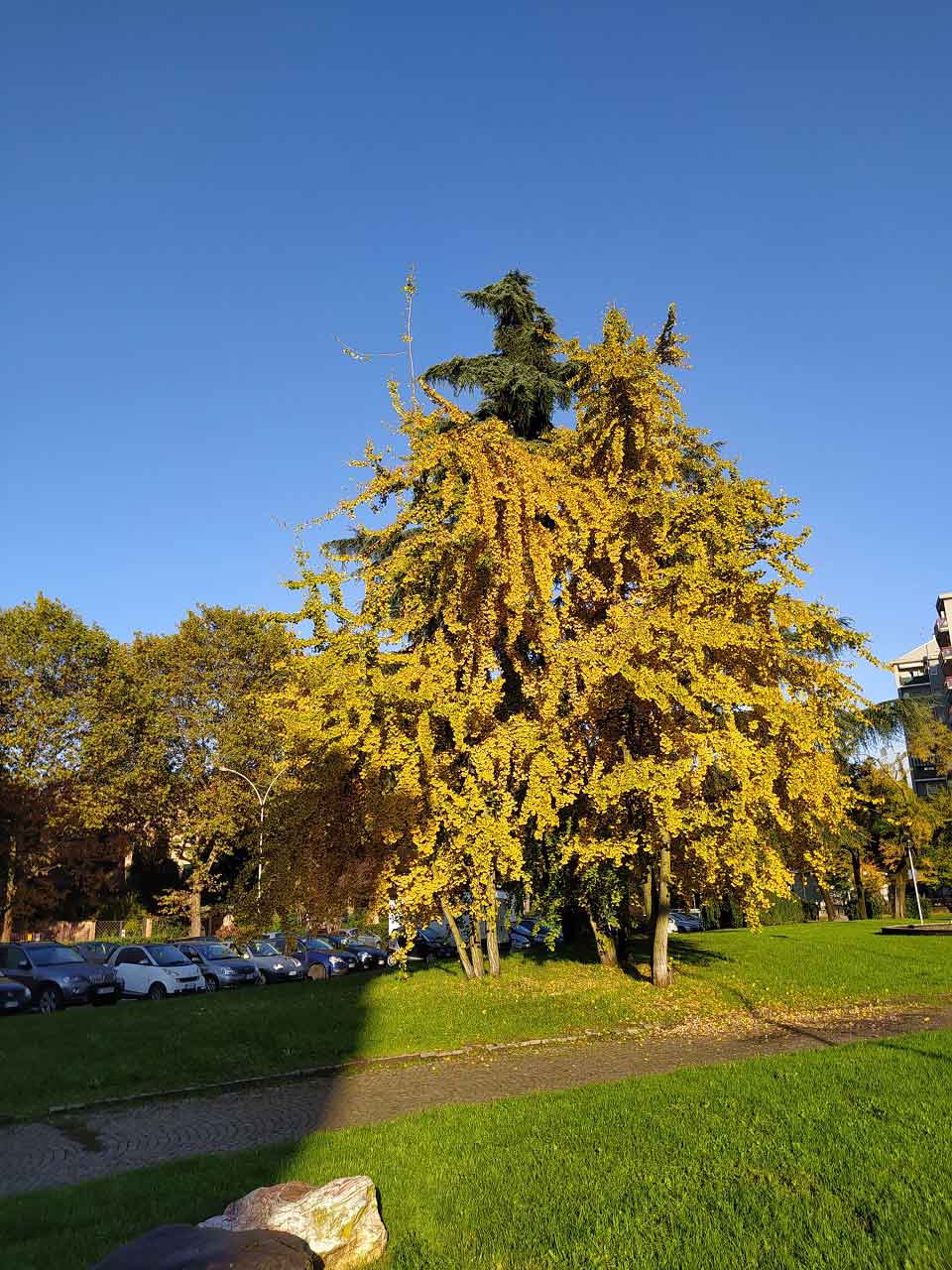 Foto di Renato Ferri