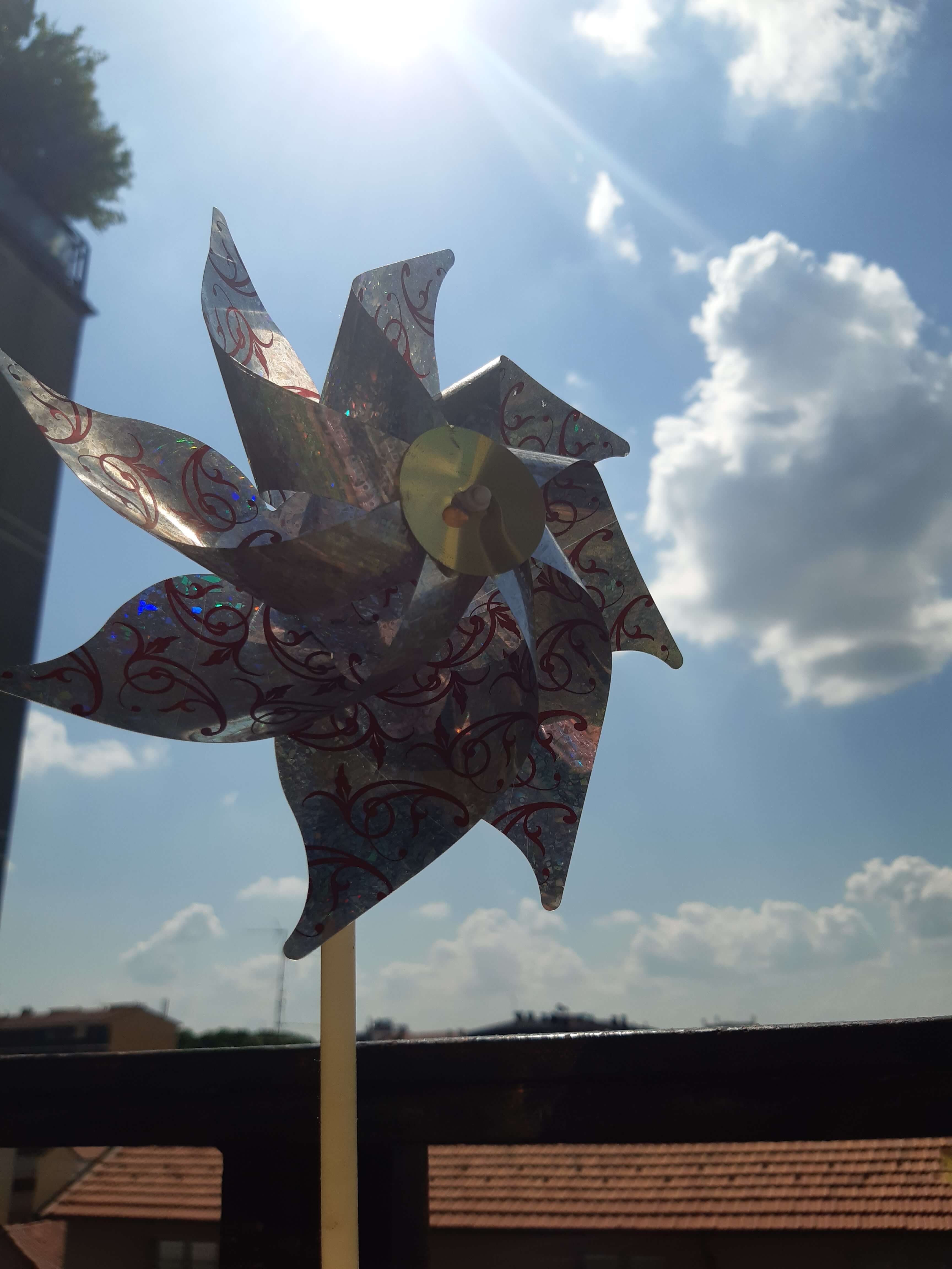 Aria di speranza. Foto di Sara Cadore