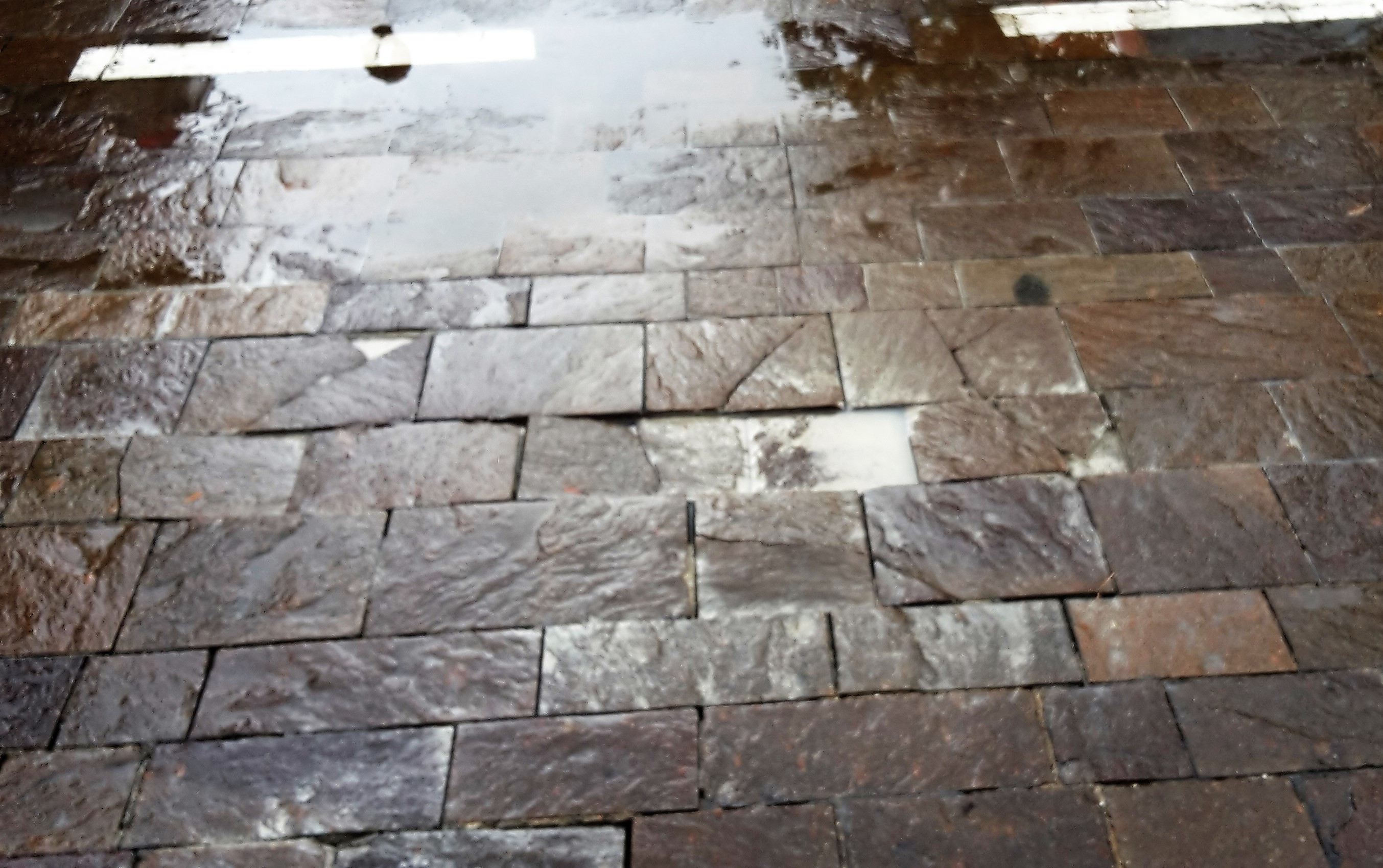 Interrogazione scritta n. 64 all. 1