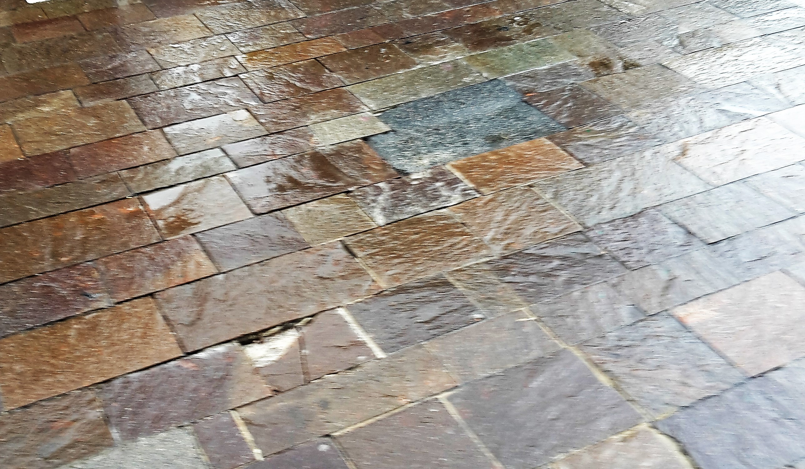 Interrogazione scritta n. 64 all. 2