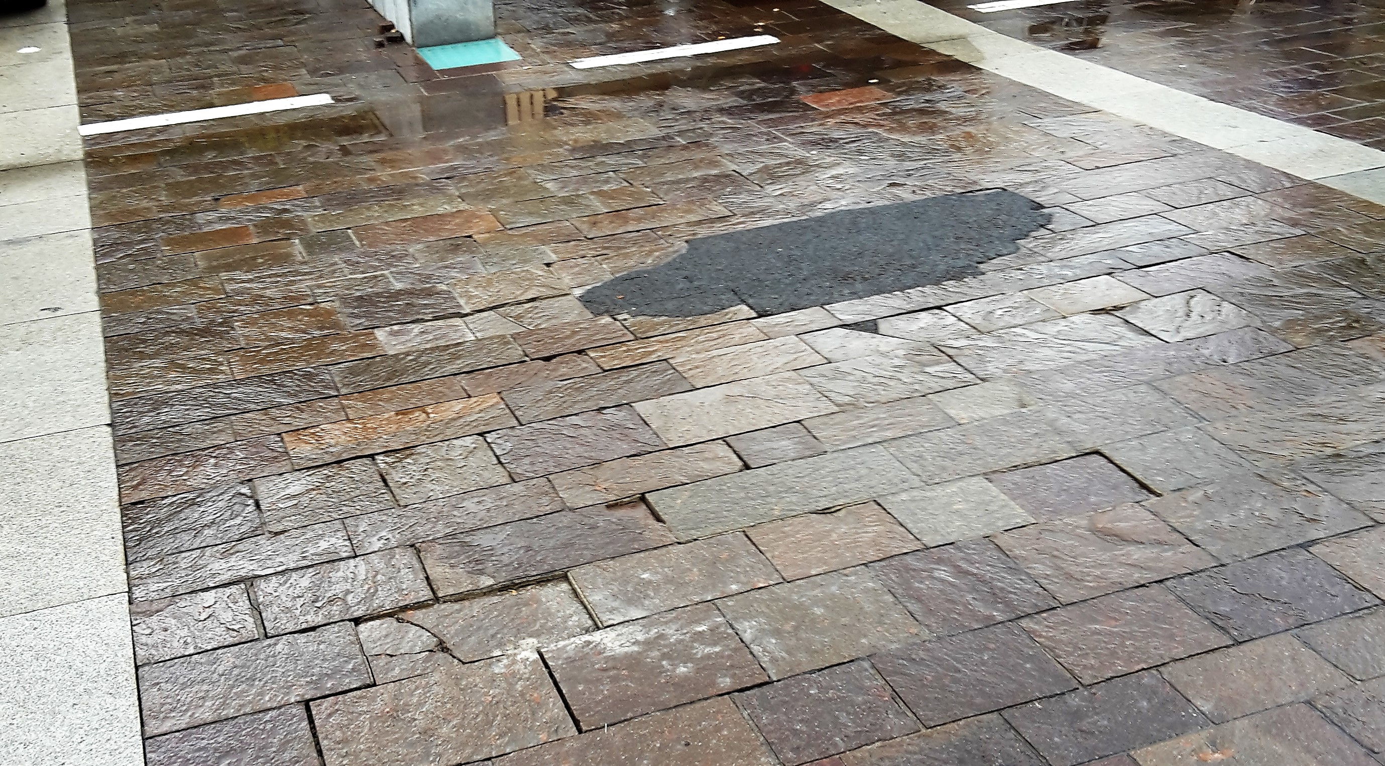 Interrogazione scritta n. 64 all. 3