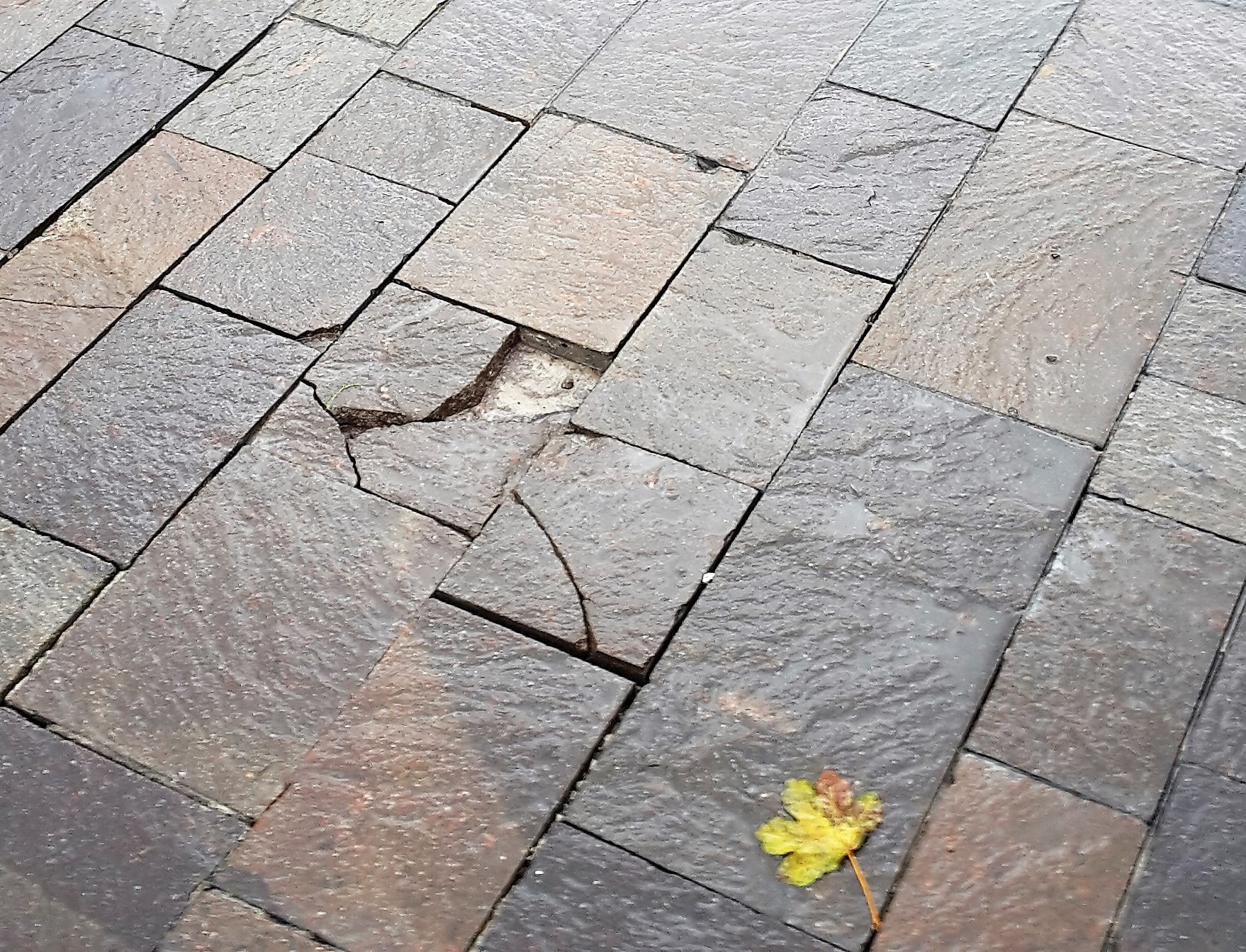 Interrogazione scritta n. 64 all. 4