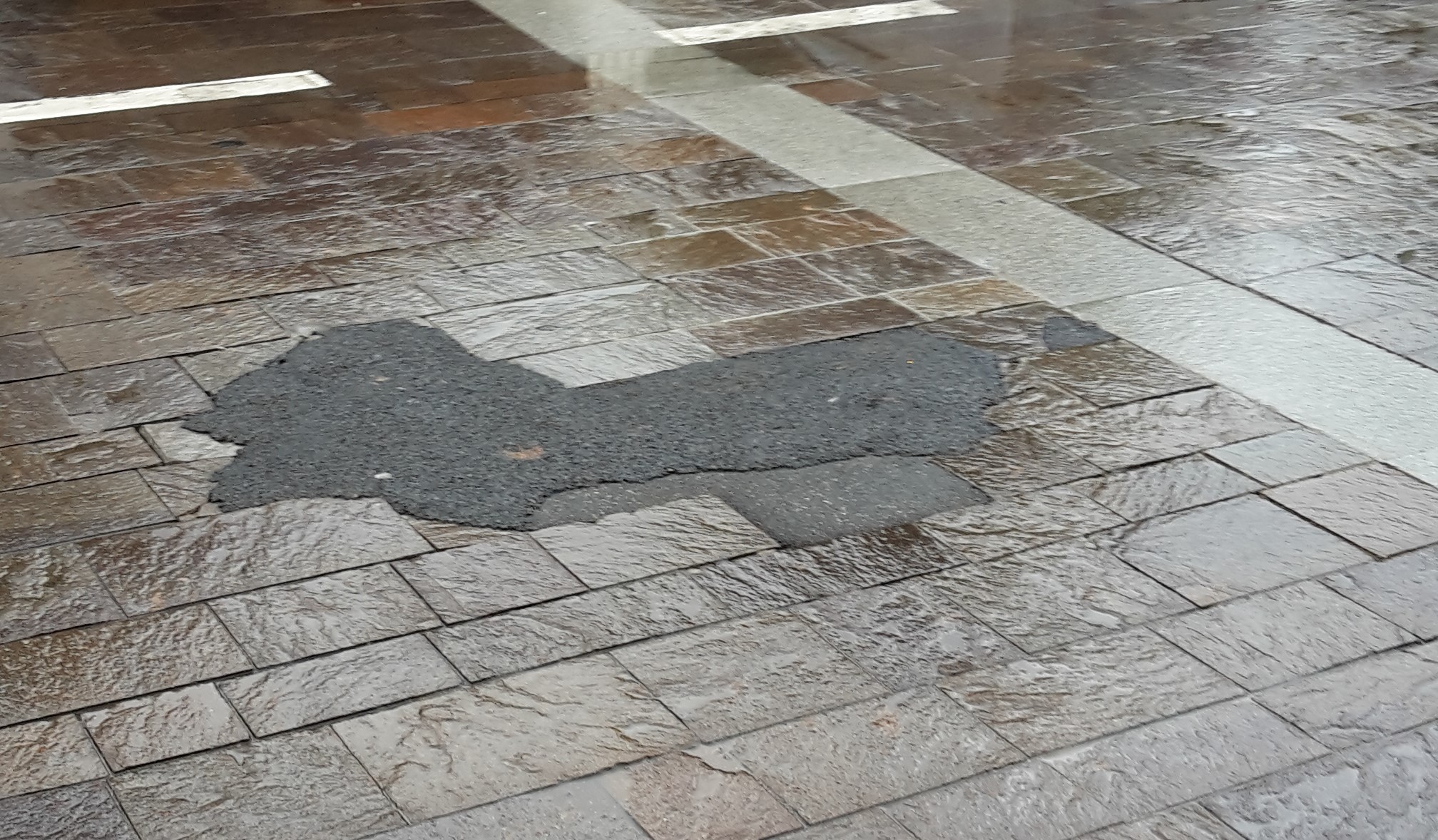 Interrogazione scritta n. 64 all. 5