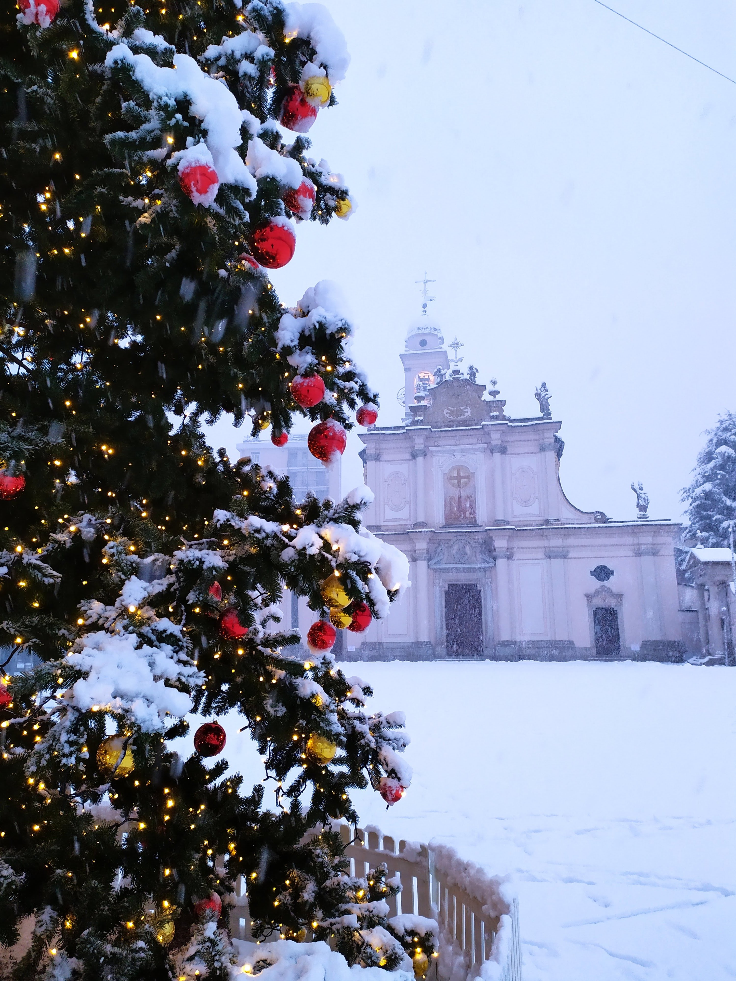Natale a Cinisello. Foto di Davide Castelnovo