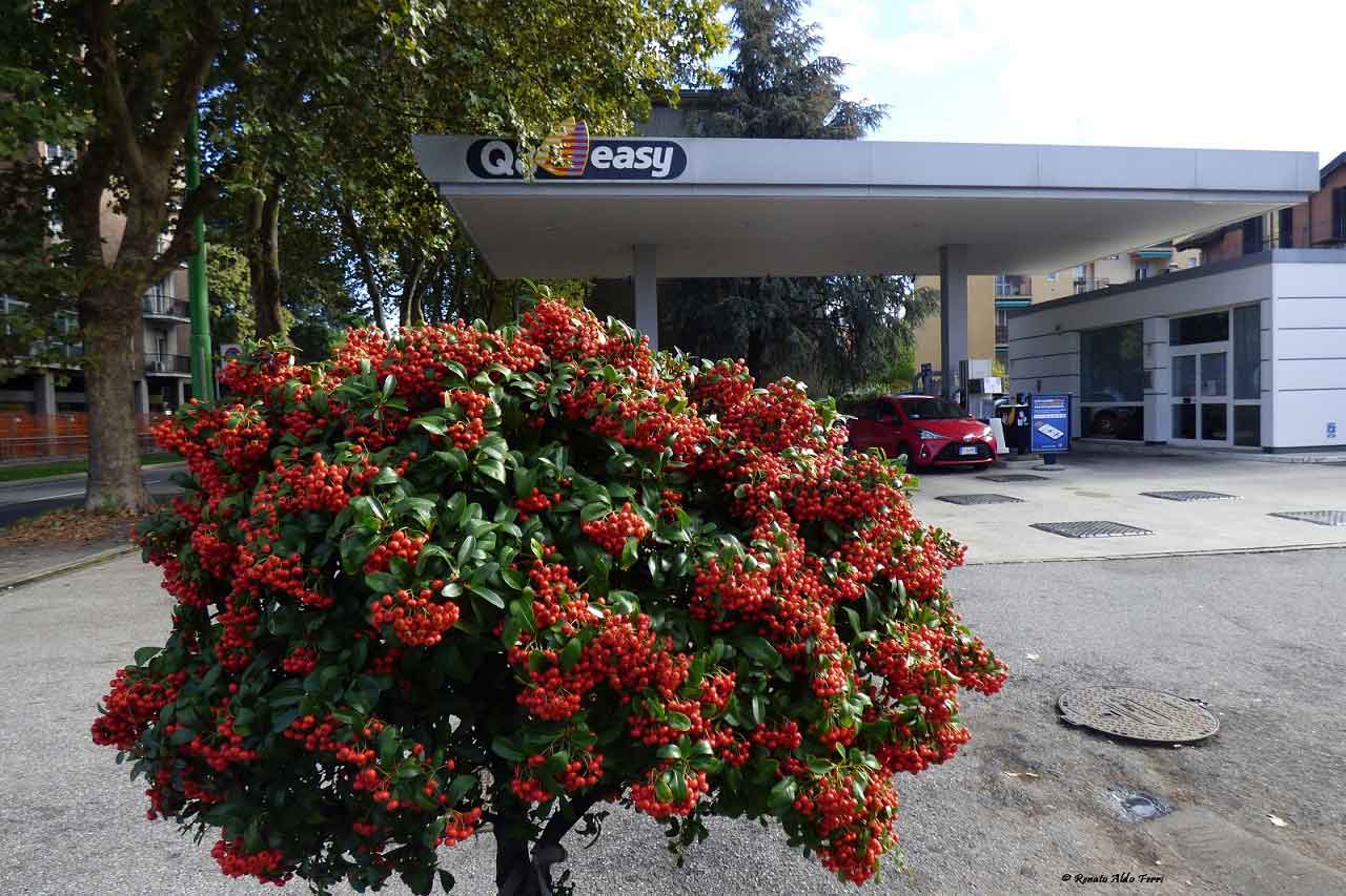 Foto di Renato Ferri