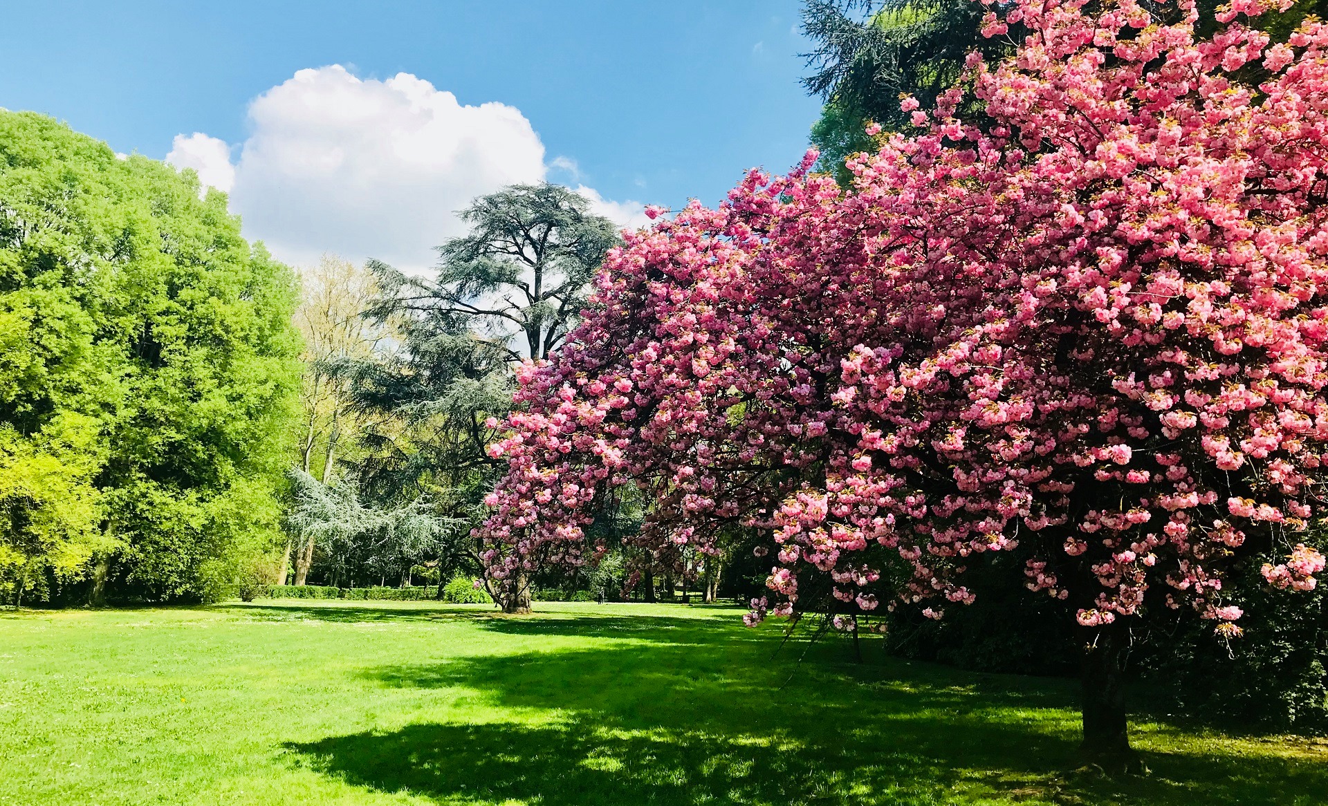 Parco di villa Ghirlanda Silva - primavera-