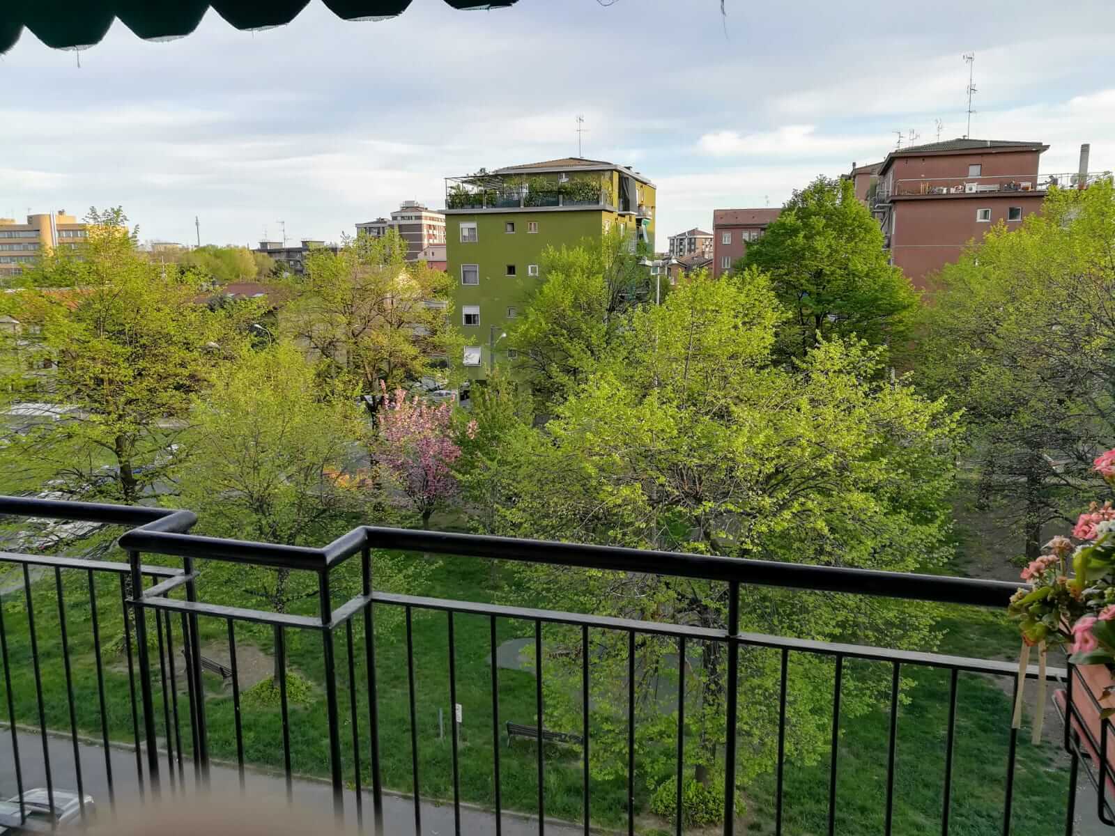 Primavera. In poco tempo grazie al bel tempo la natura si è svegliata. Foto di Marco Bellelli