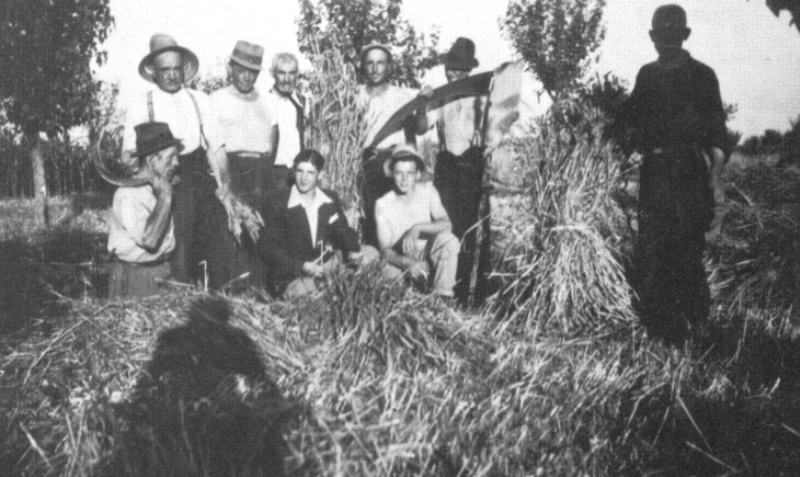 Contadini durante la mietitura, Cinisello Balsamo (Archivio C.D.S.) 