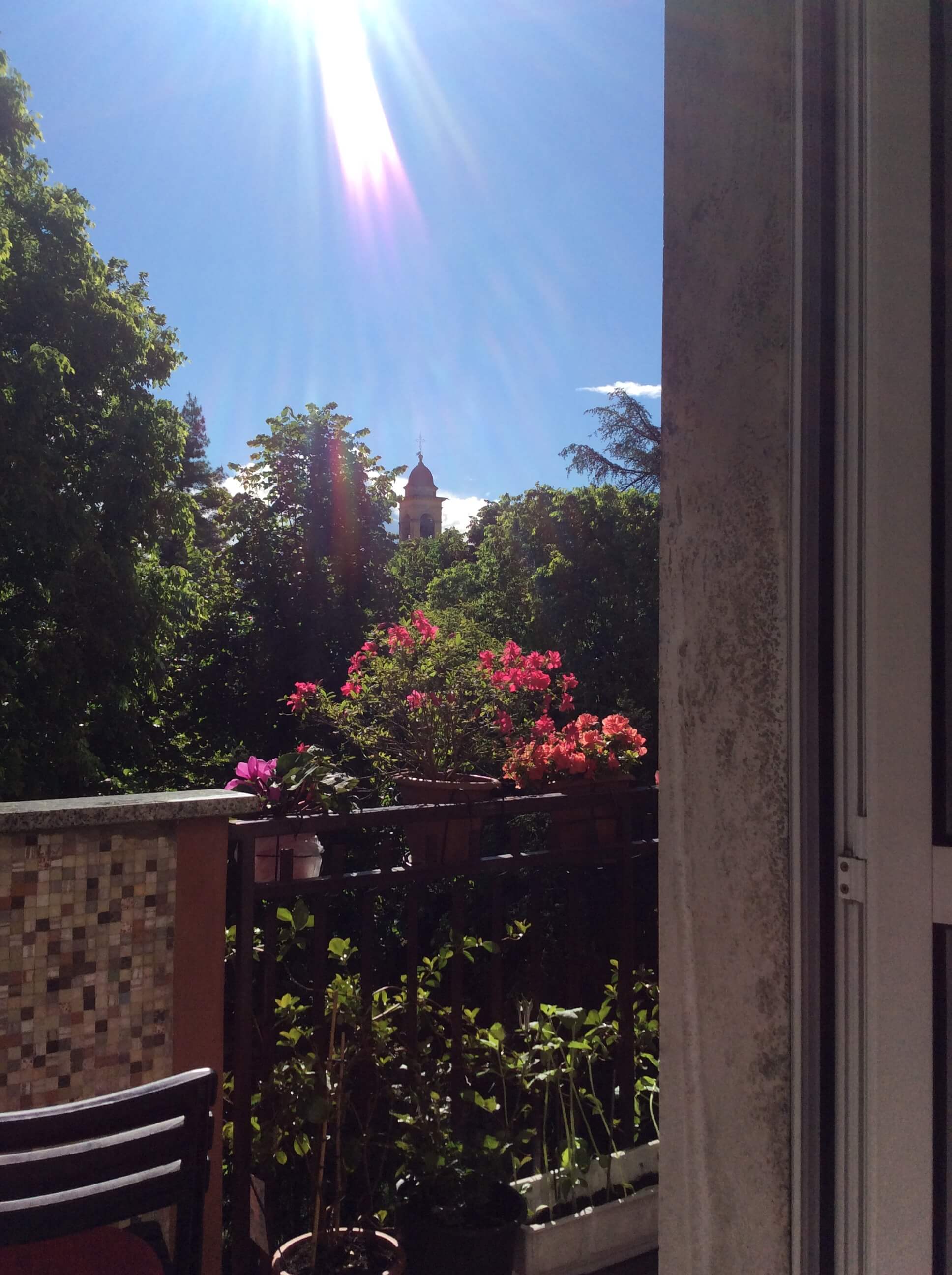 San Martino in fiore. Foto di Carla Navone