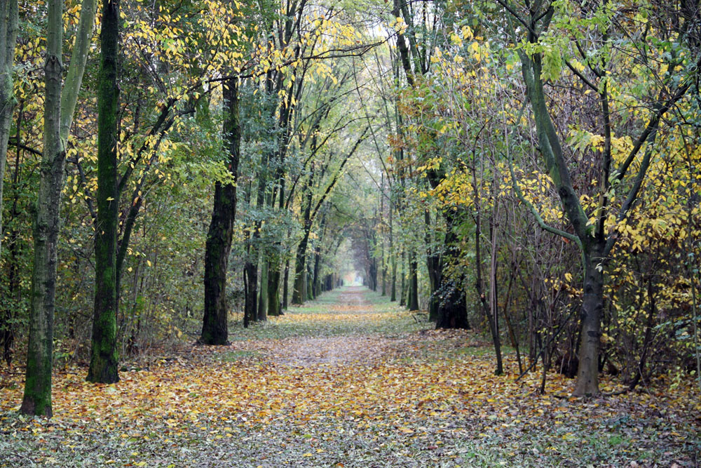 Stagioni - Foto di Renato Ferri