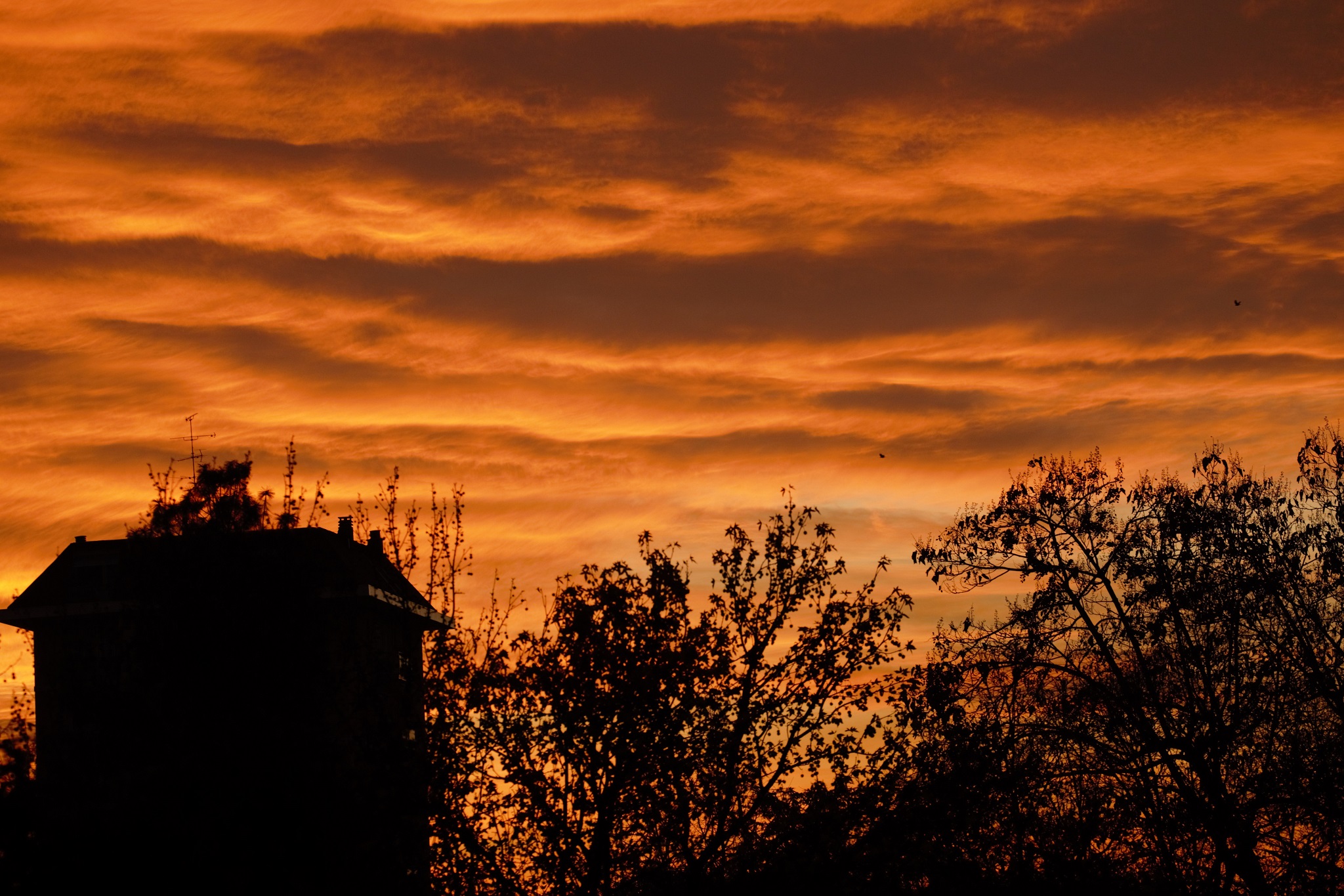 Tramonti. Foto di Renato Ferri